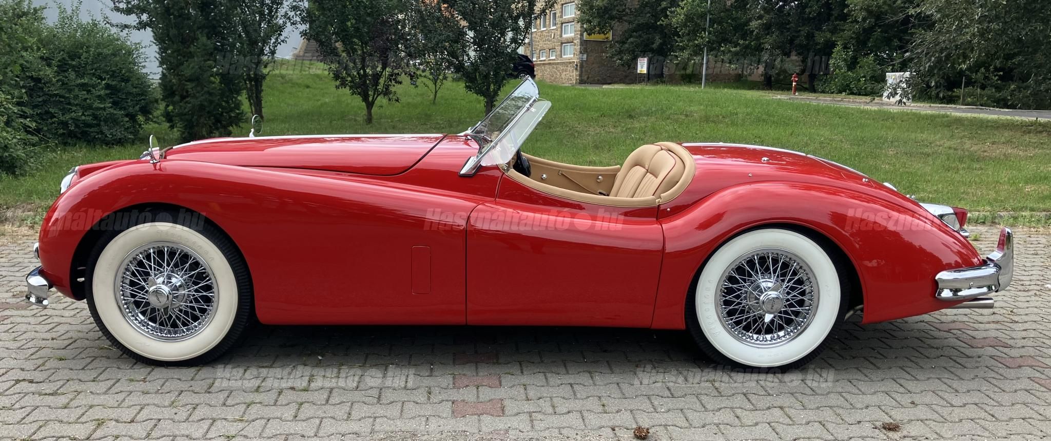 JAGUAR XK 1954/11 - 1