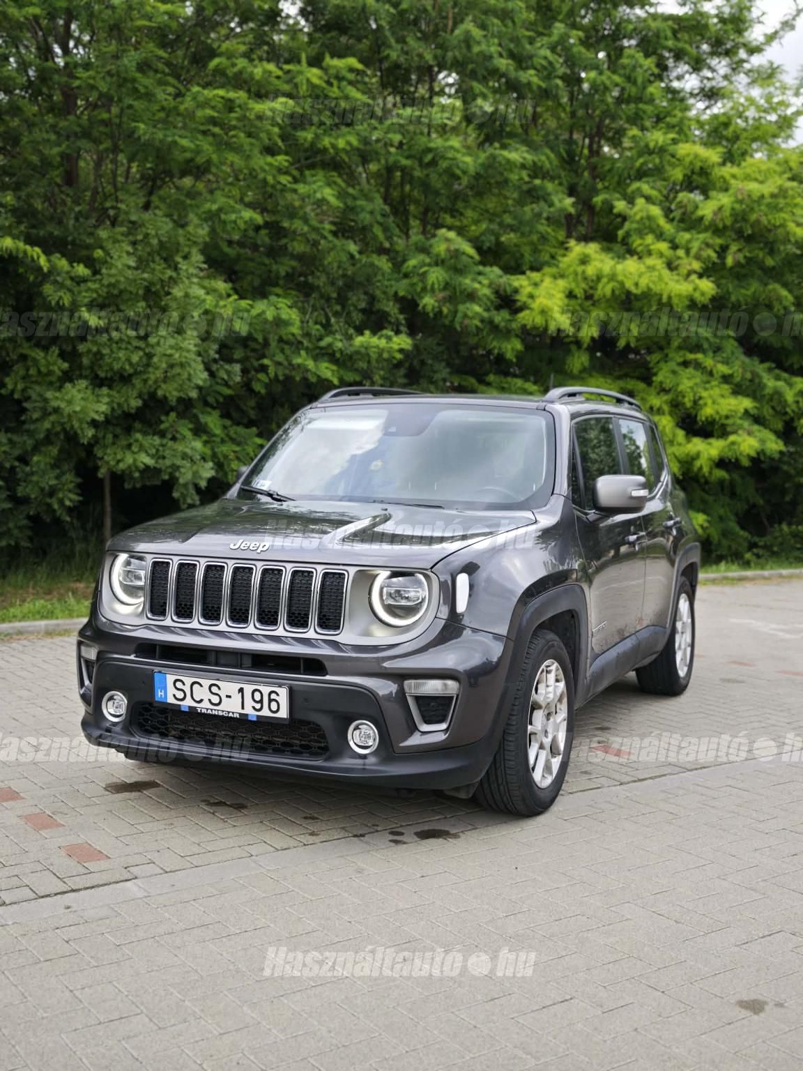 JEEP RENEGADE 2019/1 - 1