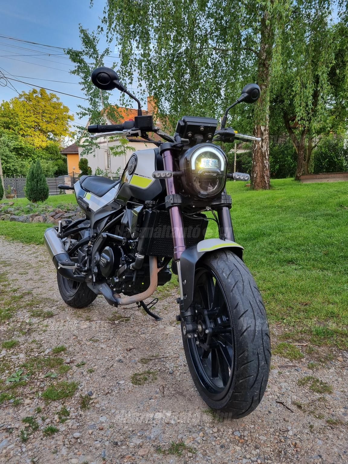 BENELLI LEONCINO 250 2019 - 1