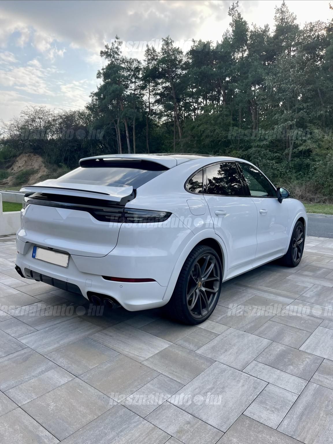 PORSCHE CAYENNE 2019/8 - 1