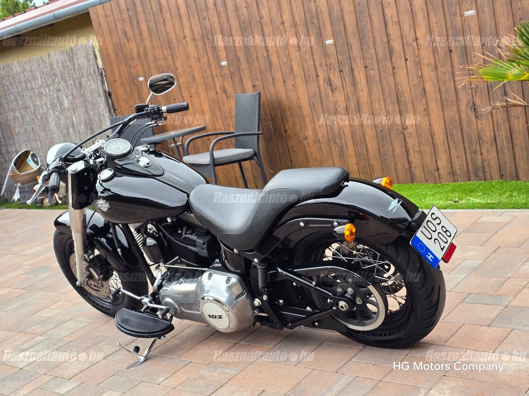 HARLEY-DAVIDSON SOFTAIL 2013/6 - 1