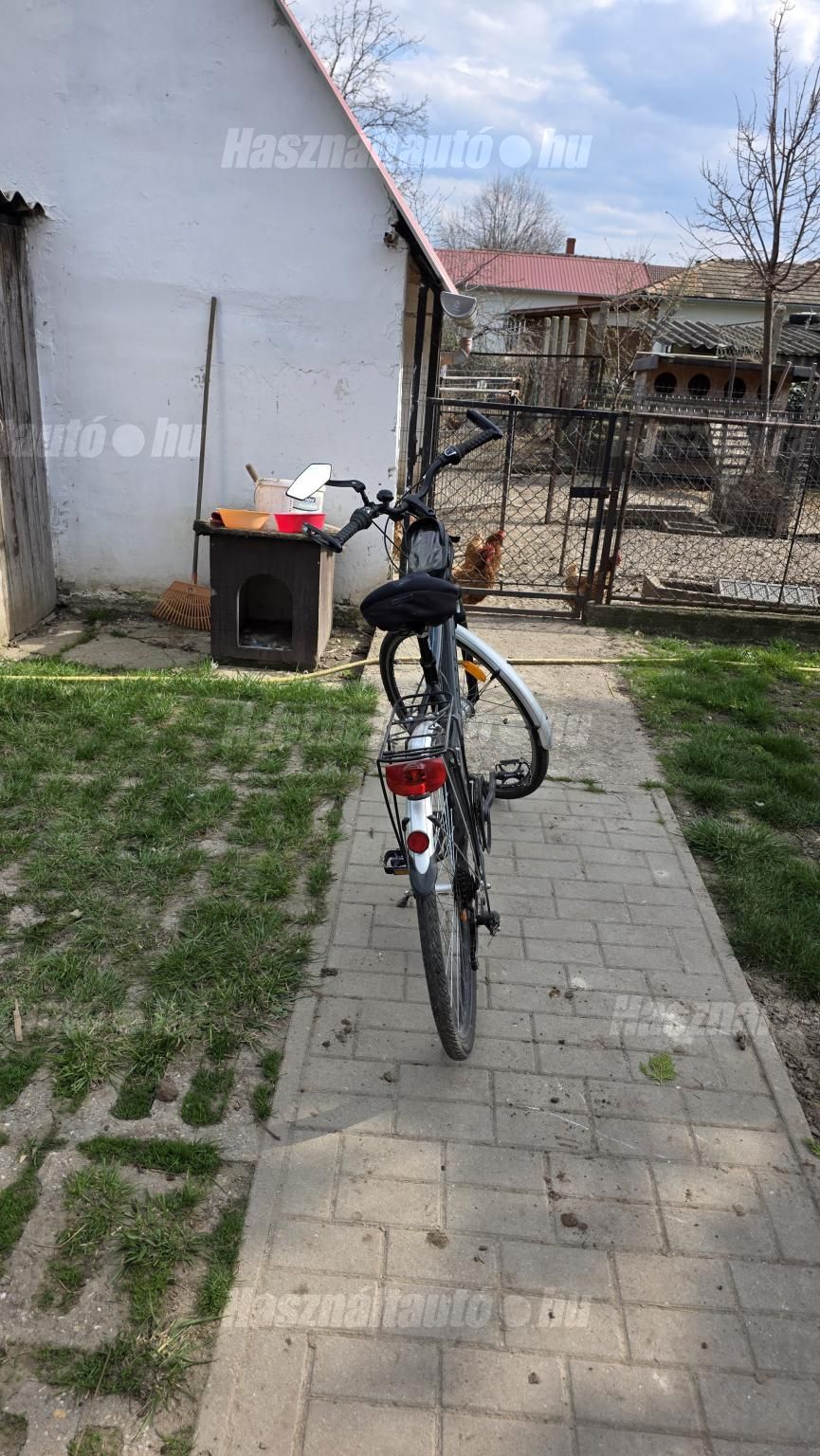 BICYCLE 2020 - 1