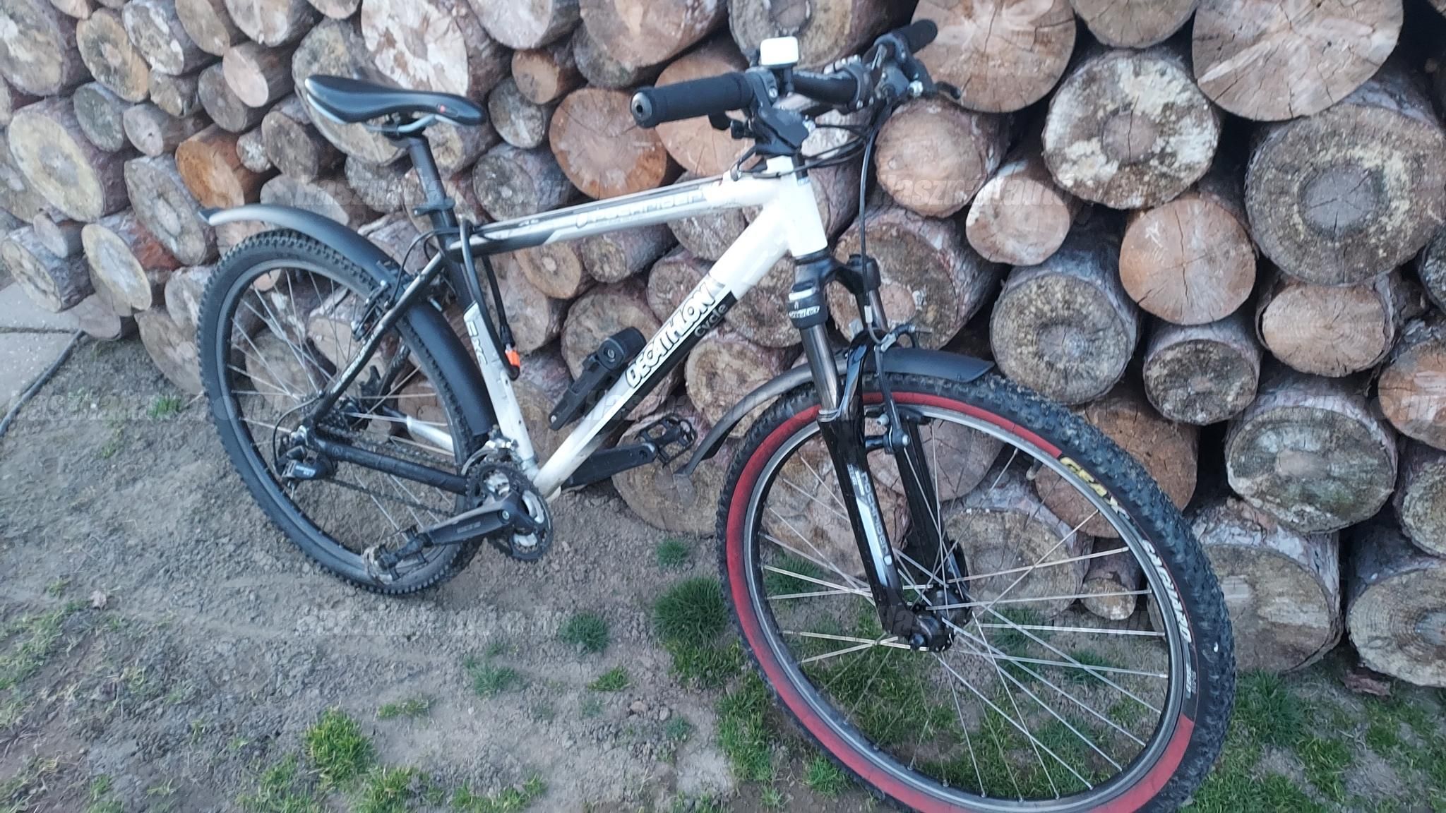 BICYCLE 2015/1 - 1