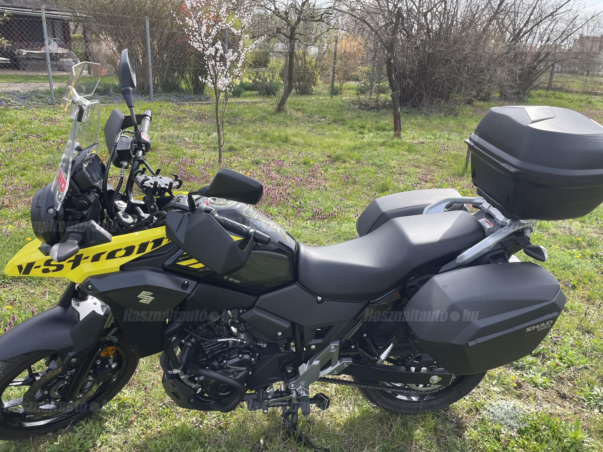SUZUKI DL 250 2019/2 - 1