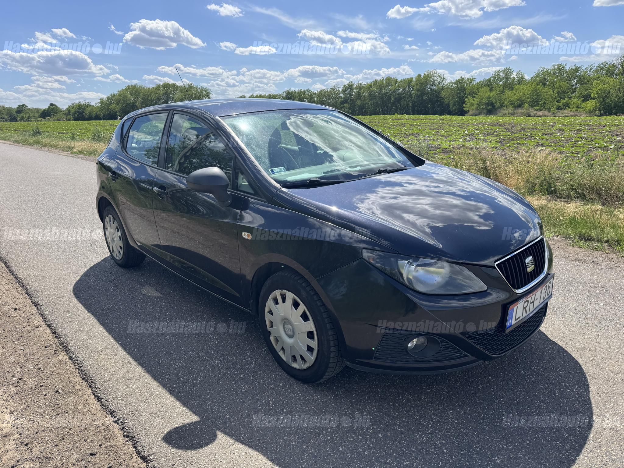 SEAT IBIZA 2010/10 - 1