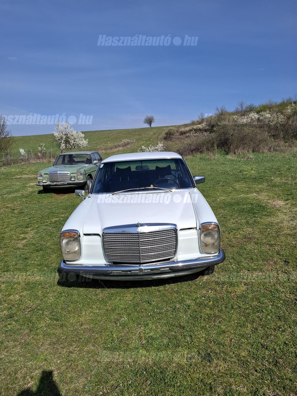MERCEDES-BENZ W 115 1973/6 - 1