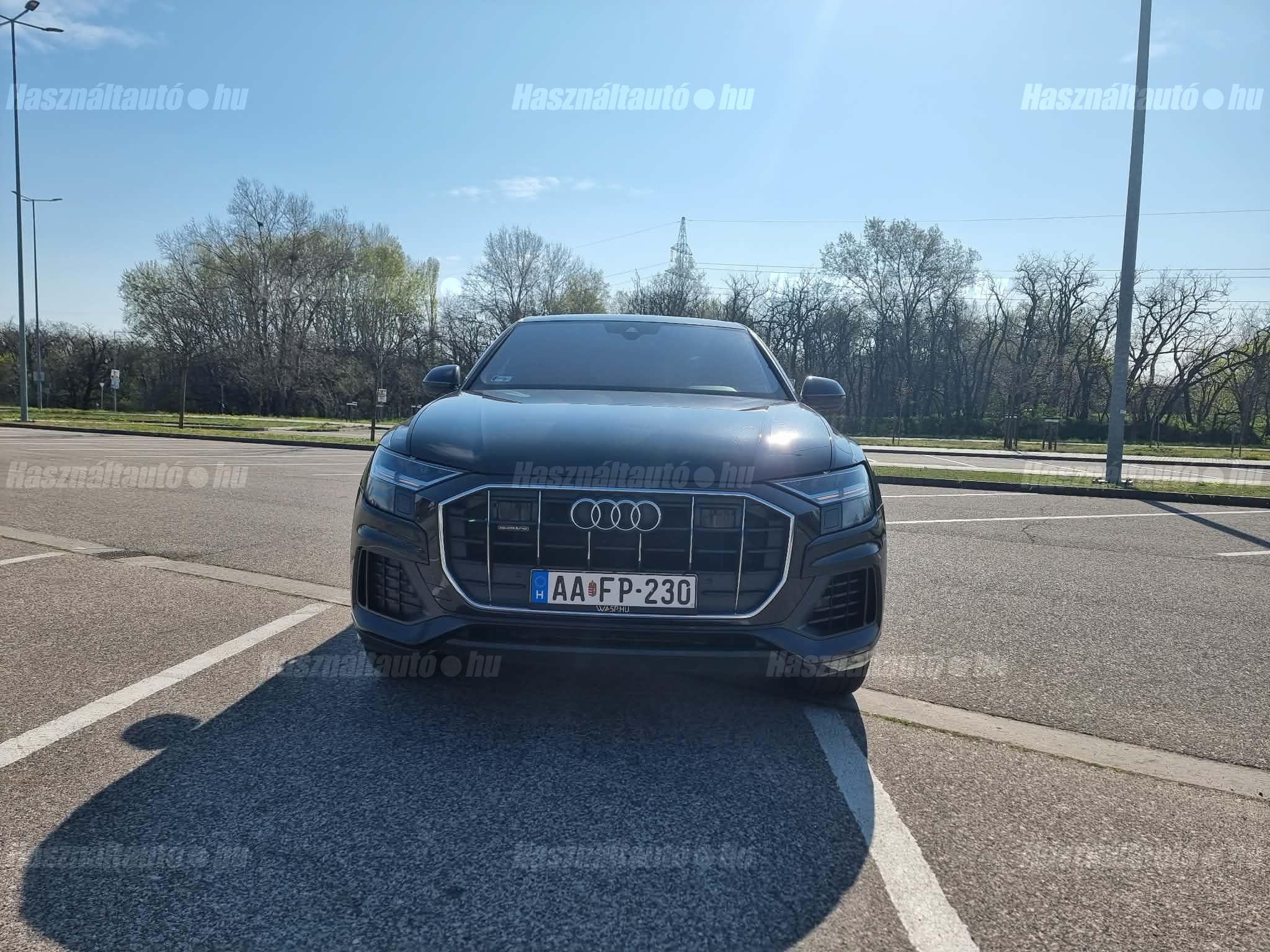 AUDI Q8 2019/8 - 1