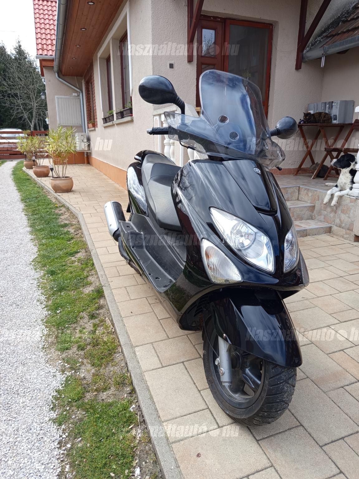 YAMAHA MAJESTY 2008/8 - 1