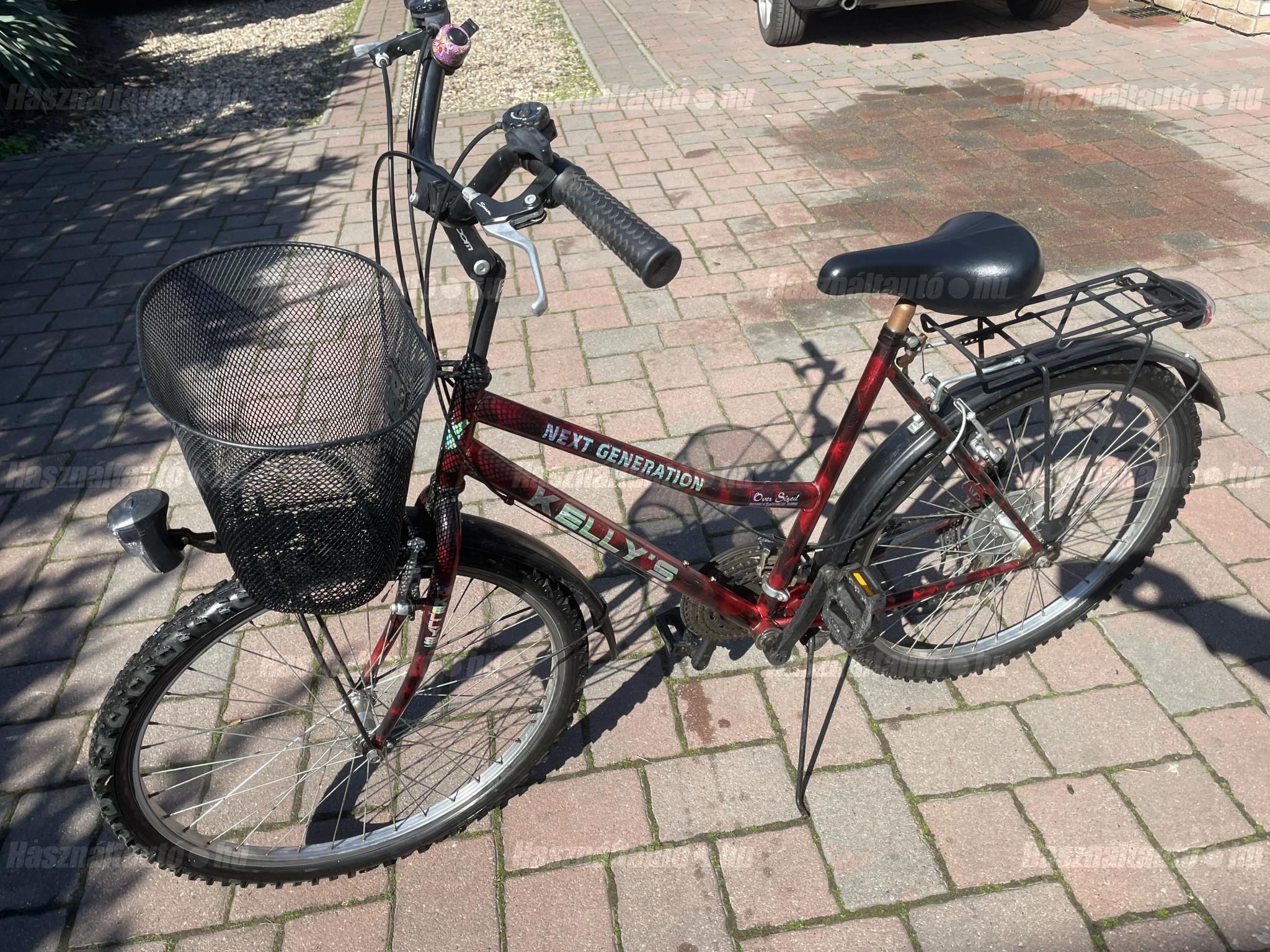 BICYCLE 2010 - 1