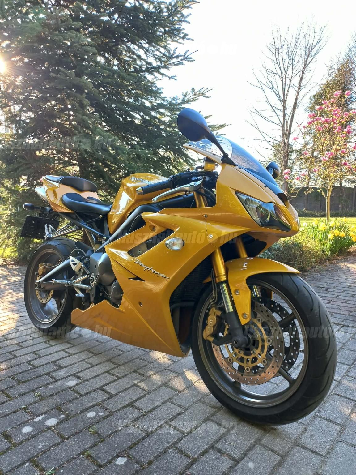 TRIUMPH DAYTONA 675 2006/5 - 1