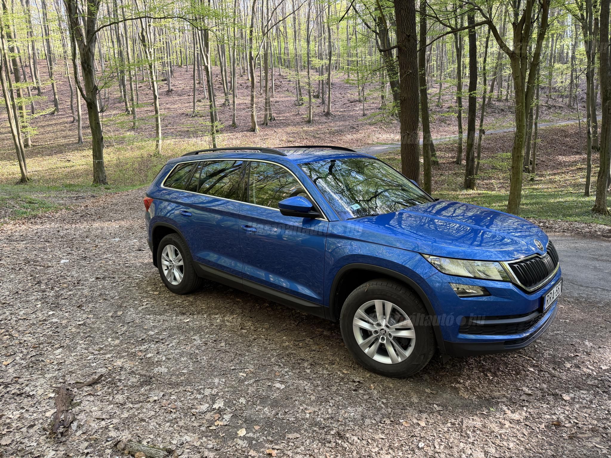 SKODA KODIAQ 2019/10 - 1