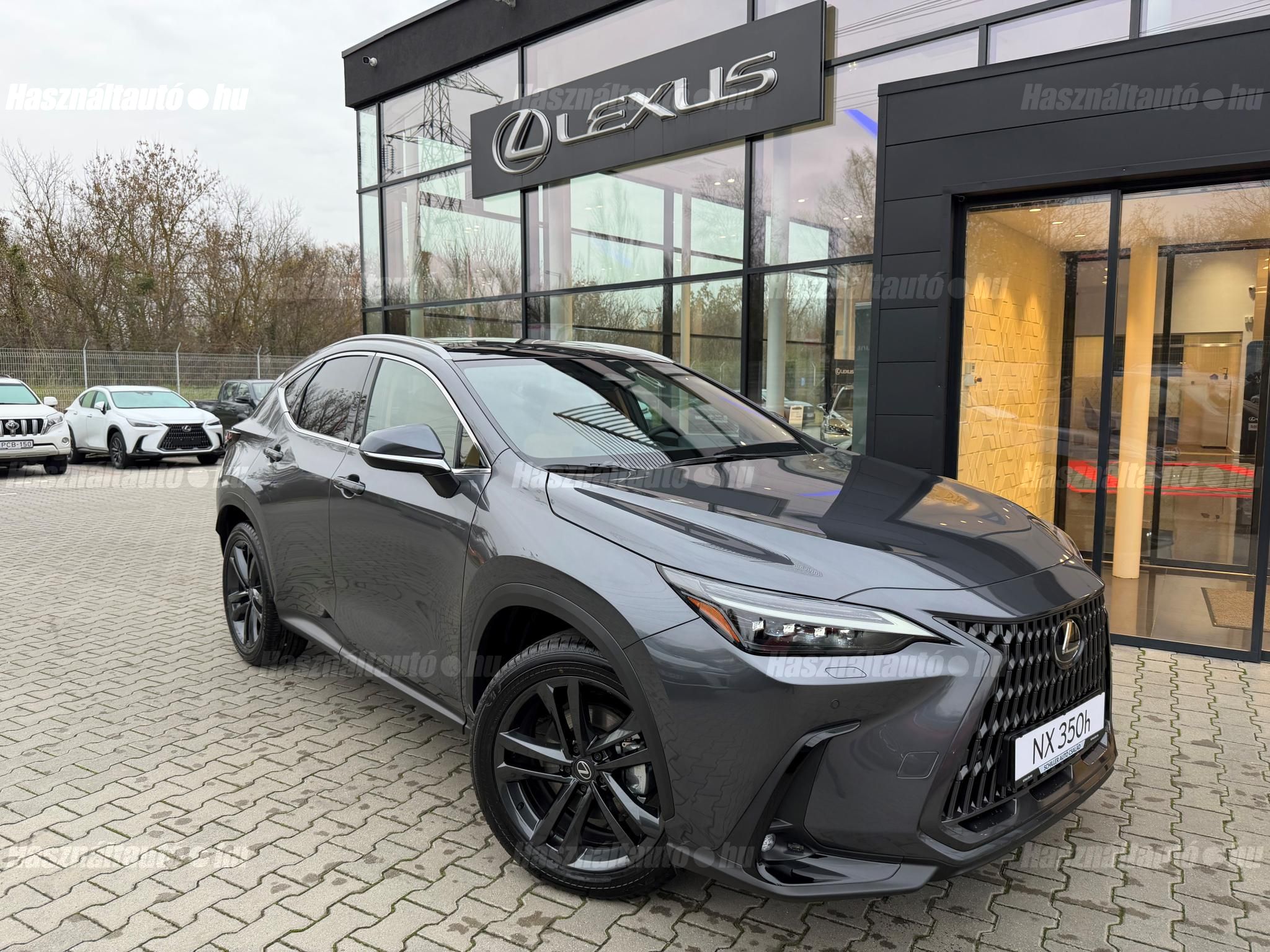 LEXUS NX 2025 - 1