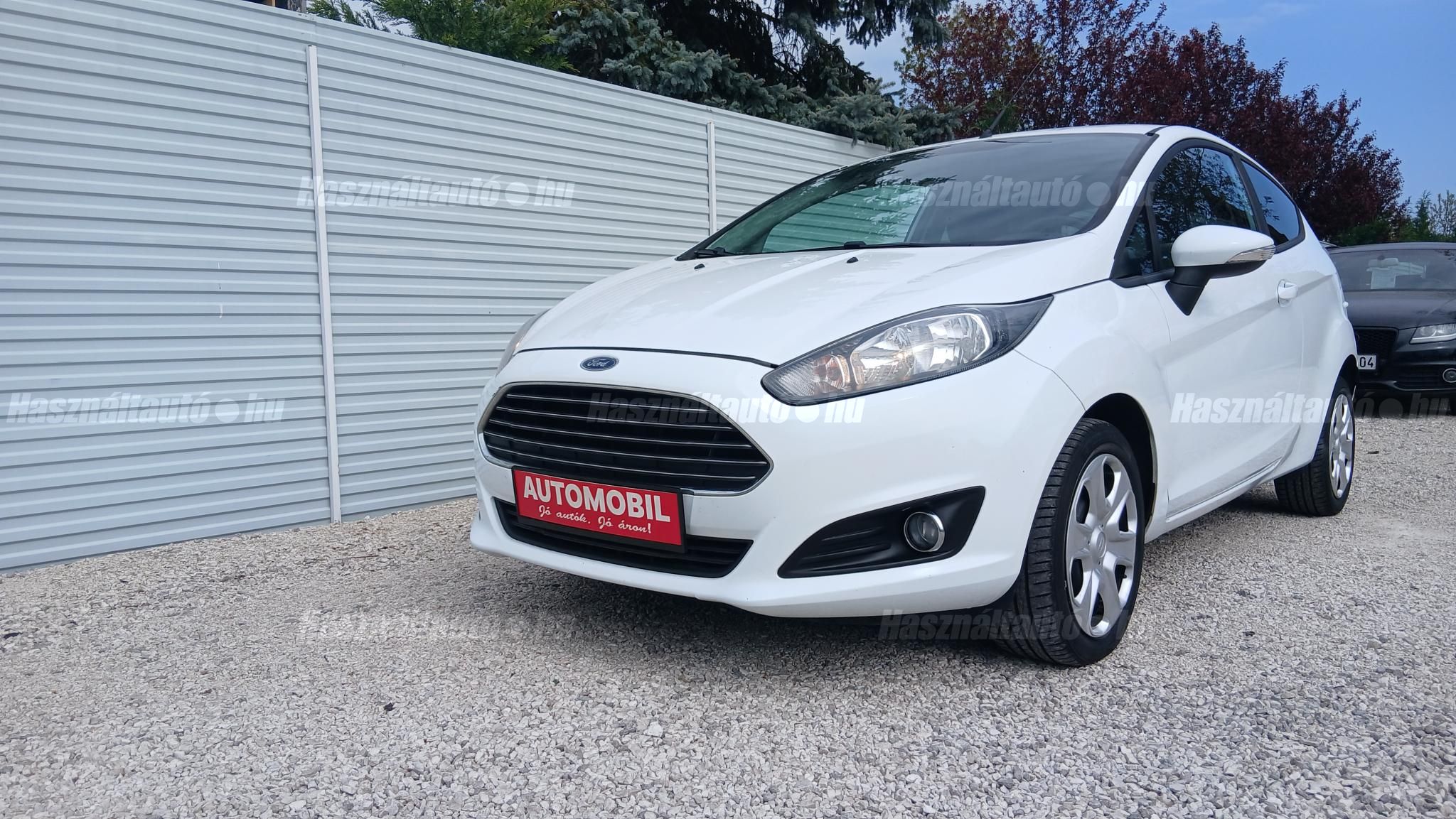 FORD FIESTA 2014/3 - 1