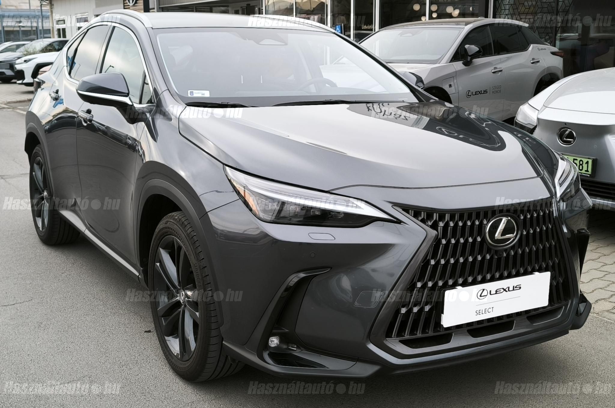 LEXUS NX 2025/2 - 1