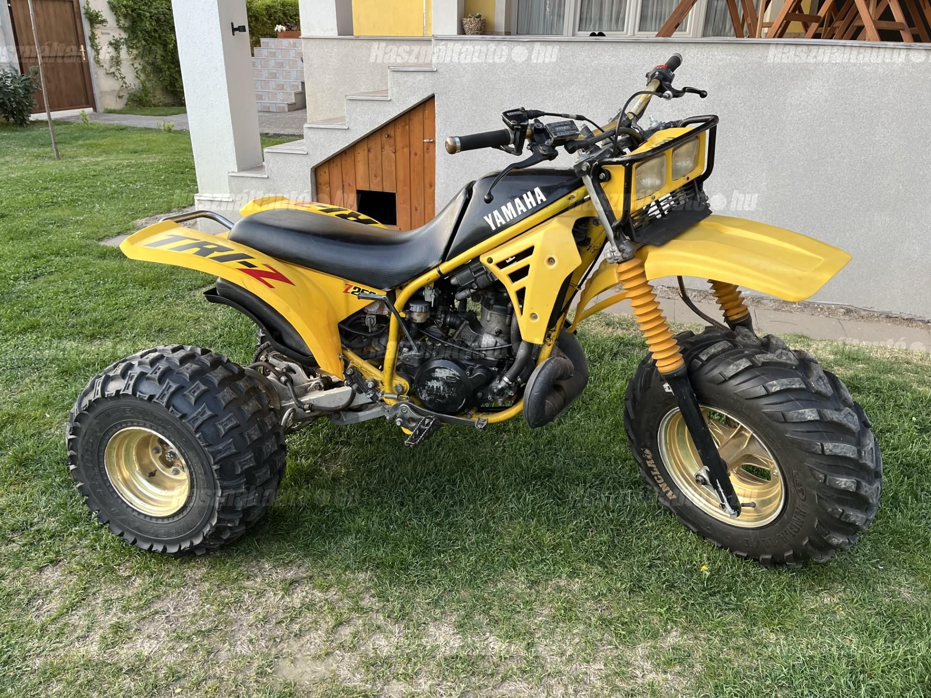YAMAHA TRI-Z 250 1985/3 - 1