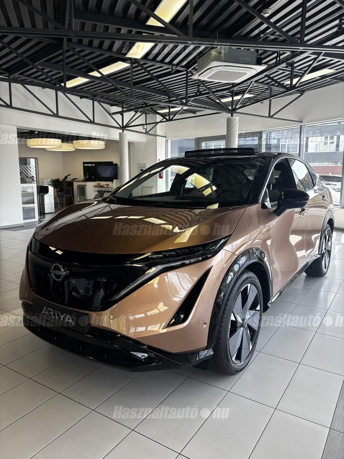 NISSAN ARIYA 2024/6 - 1