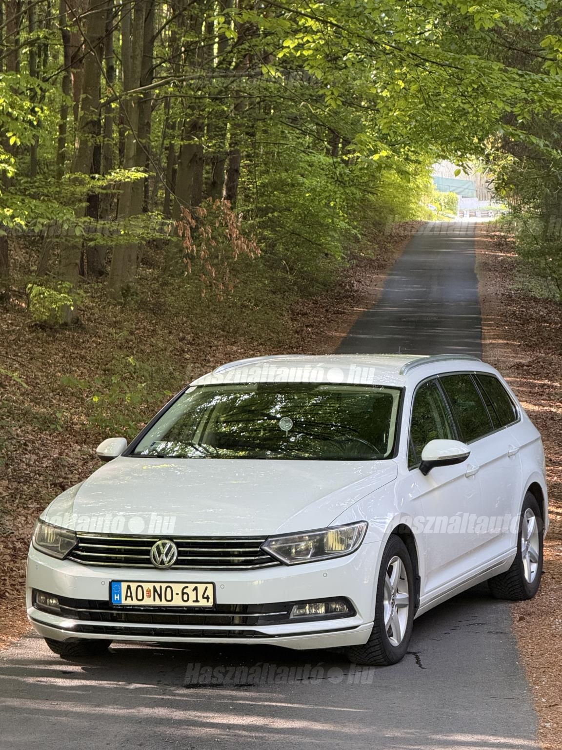 VOLKSWAGEN PASSAT VIII 2015/3 - 1