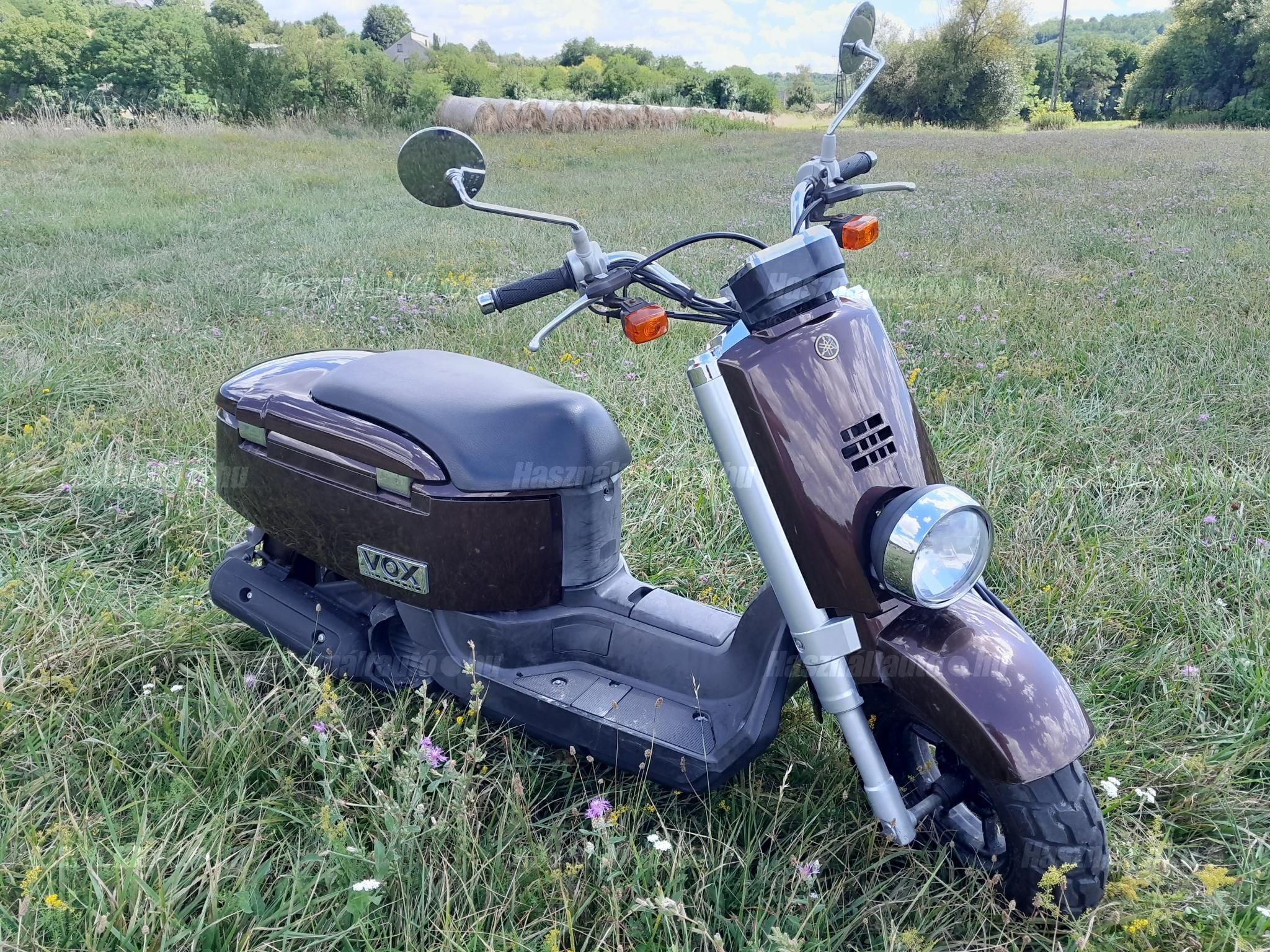 YAMAHA VOX 2010/1 - 1