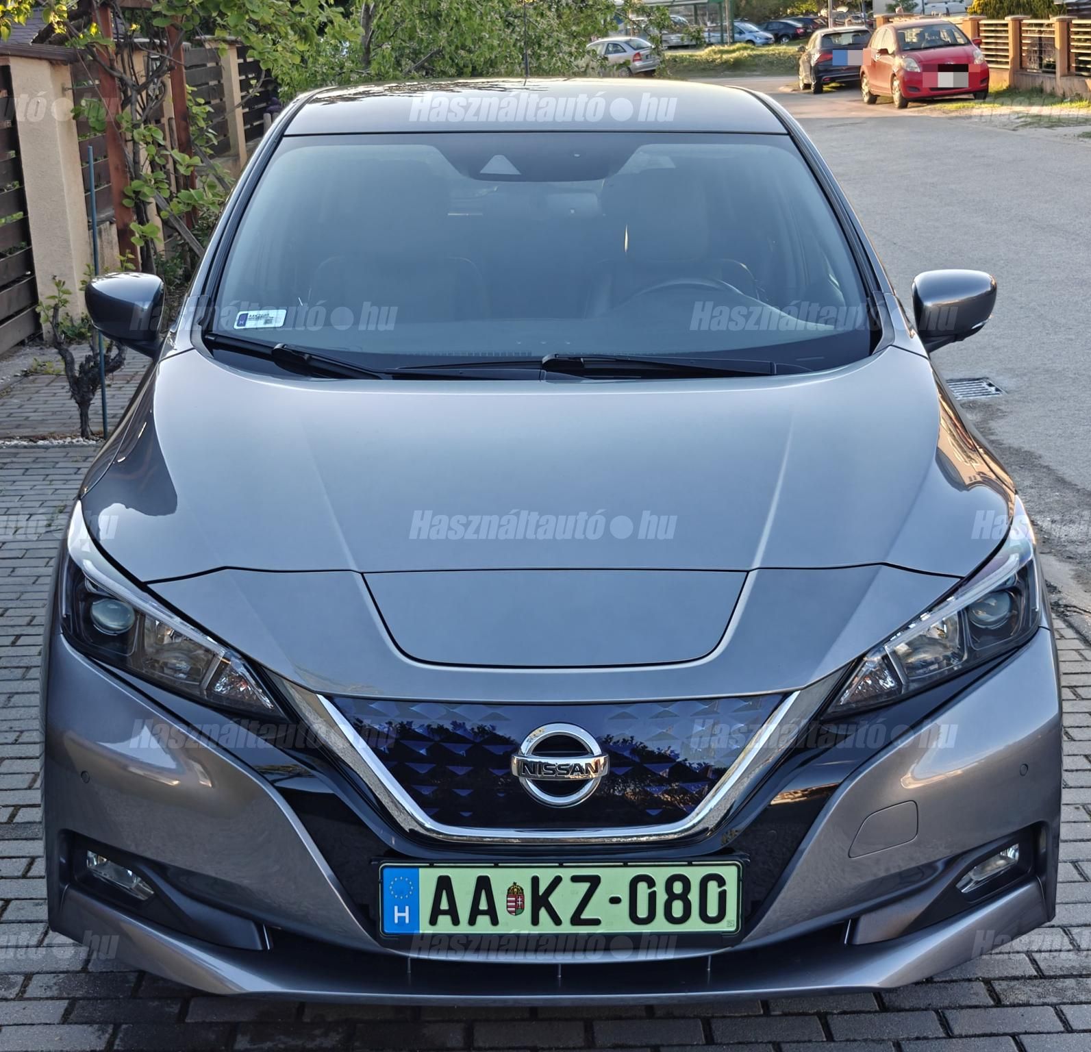 NISSAN LEAF 2019/3 - 1