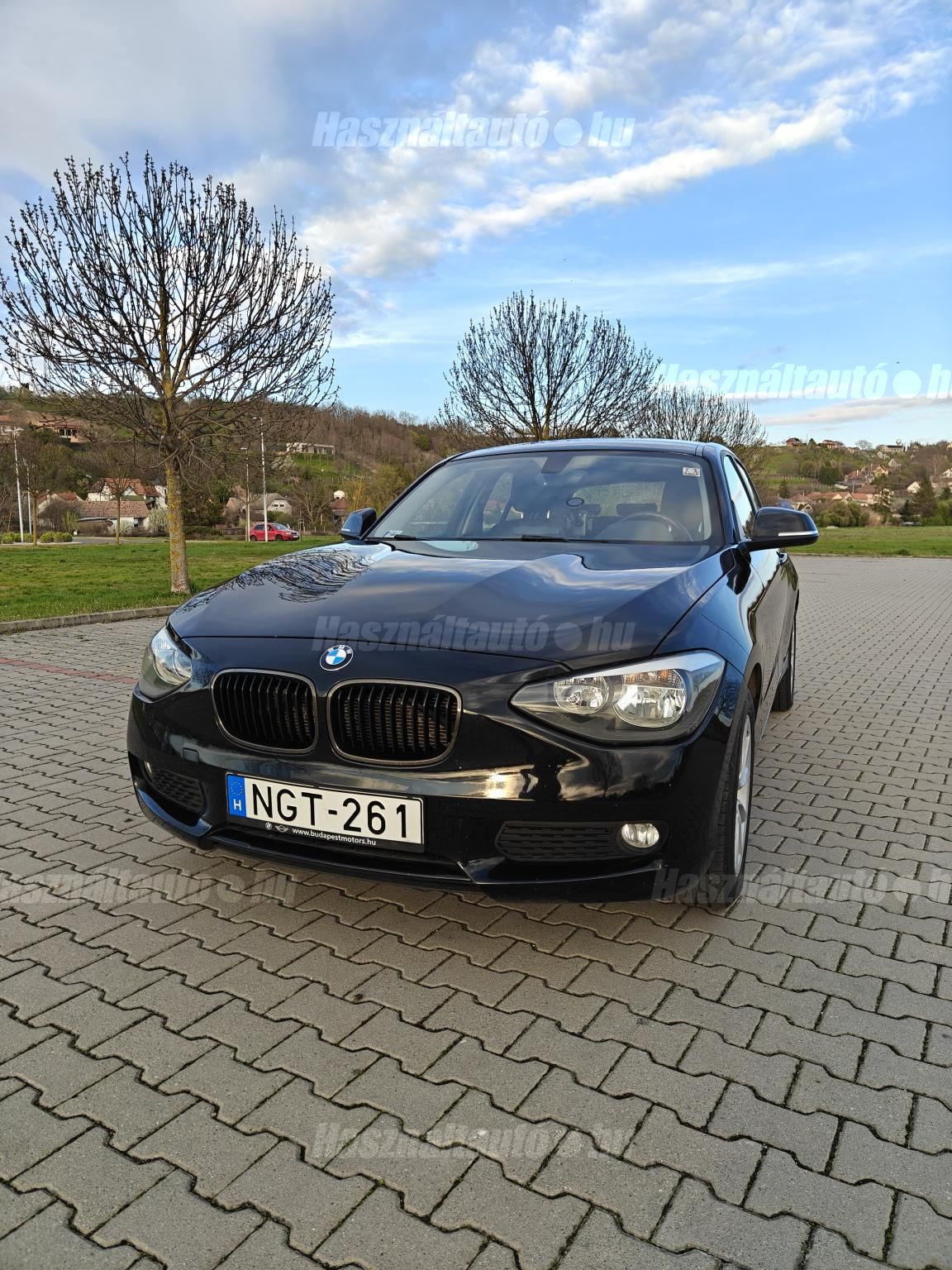 BMW 116 2012/12 - 1