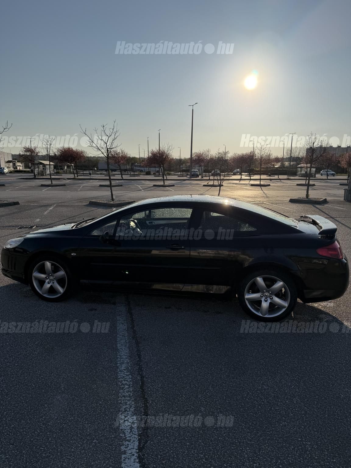 PEUGEOT 407 2008 - 1