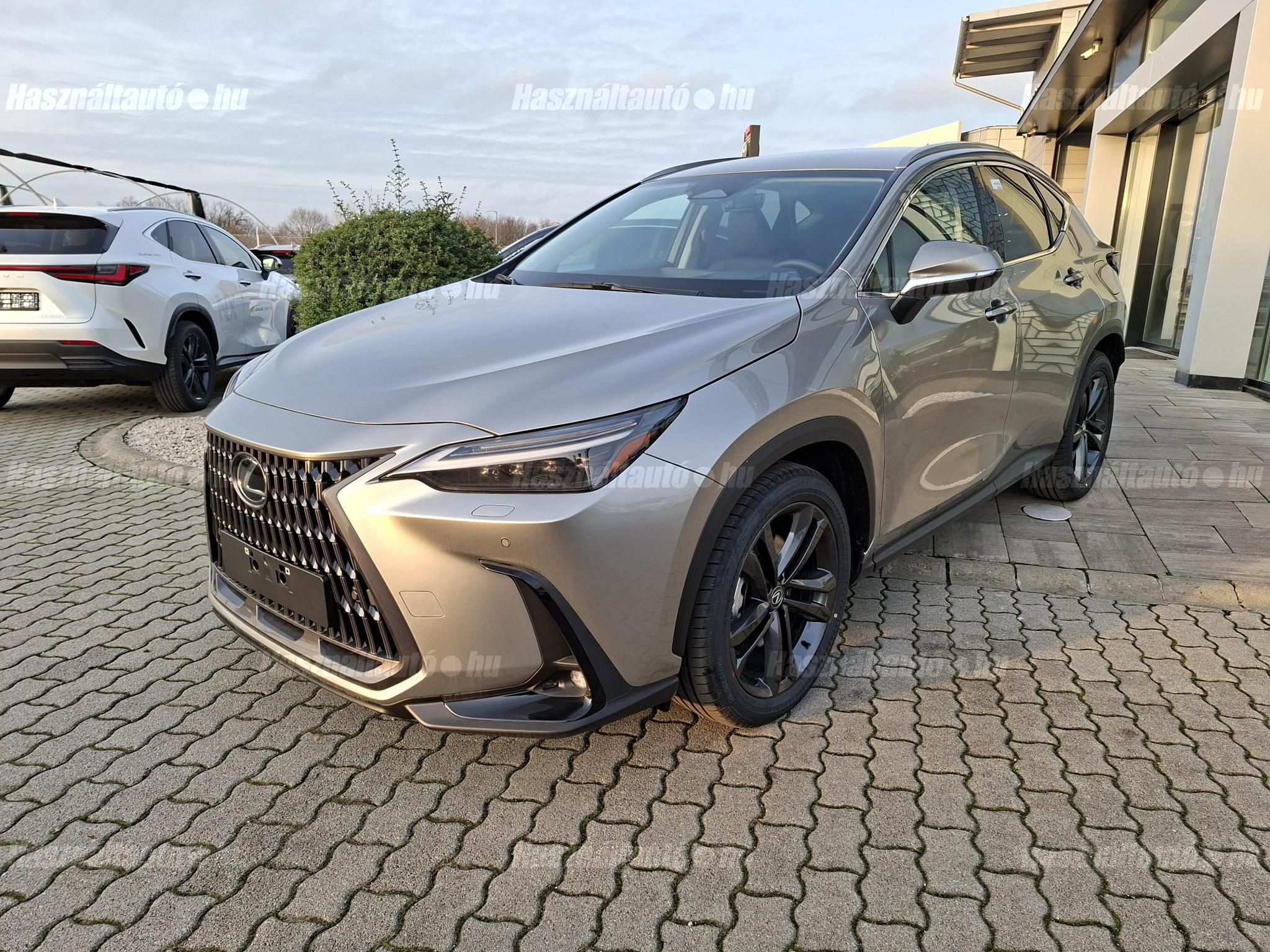 LEXUS NX 2025 - 1
