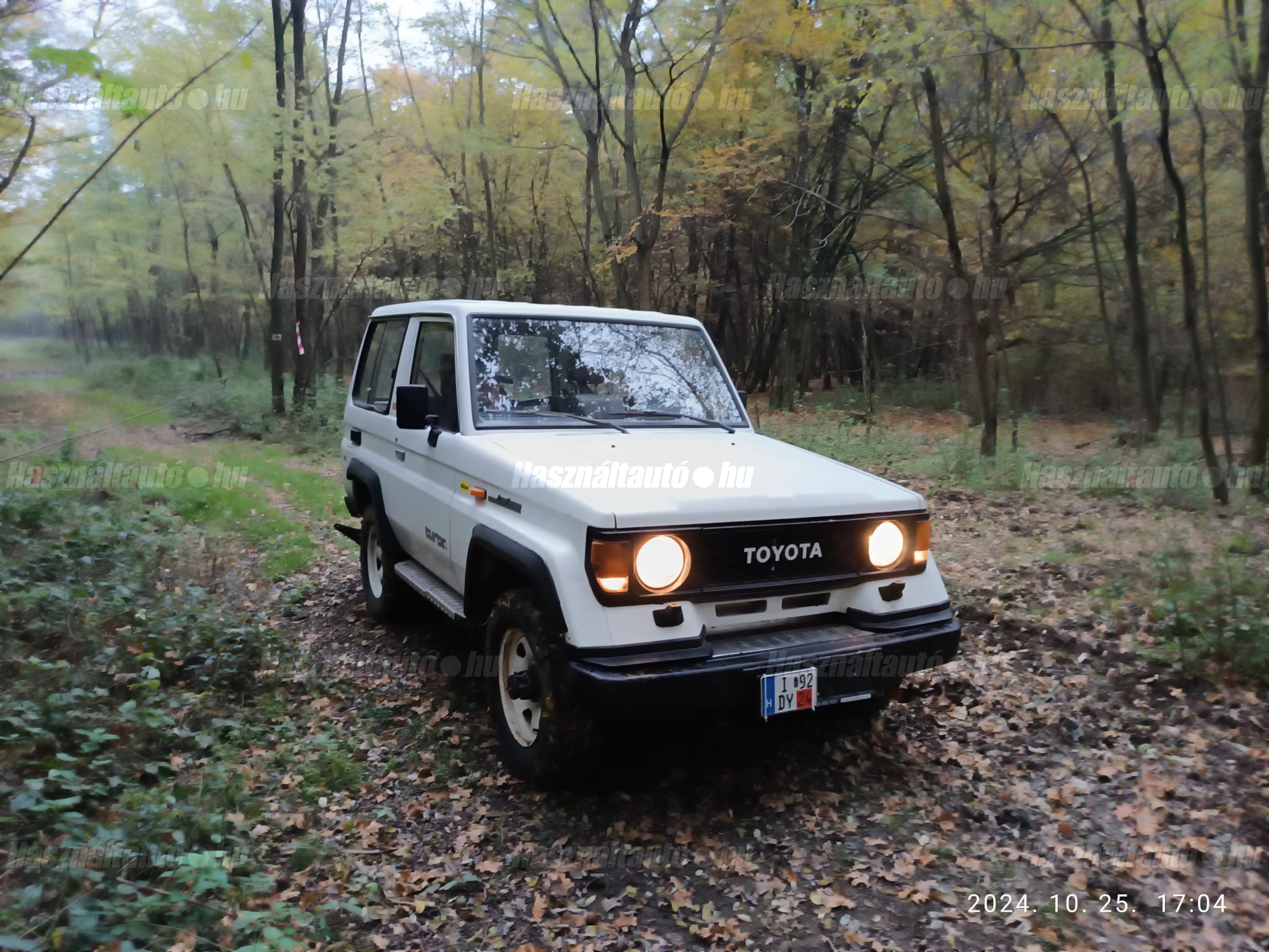 TOYOTA LAND CRUISER 1987/6 - 1