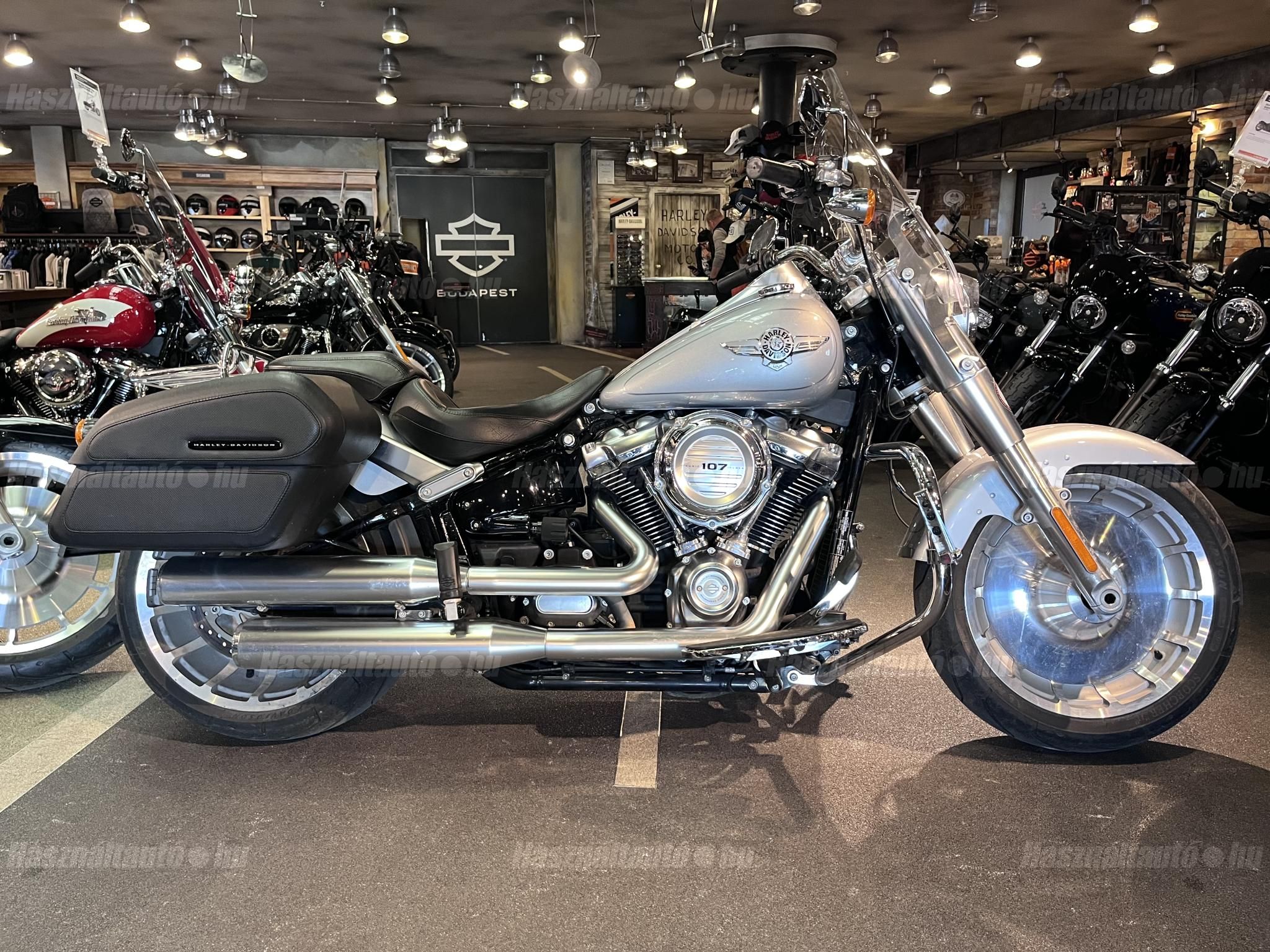 HARLEY-DAVIDSON FAT BOY 2020/2 - 1