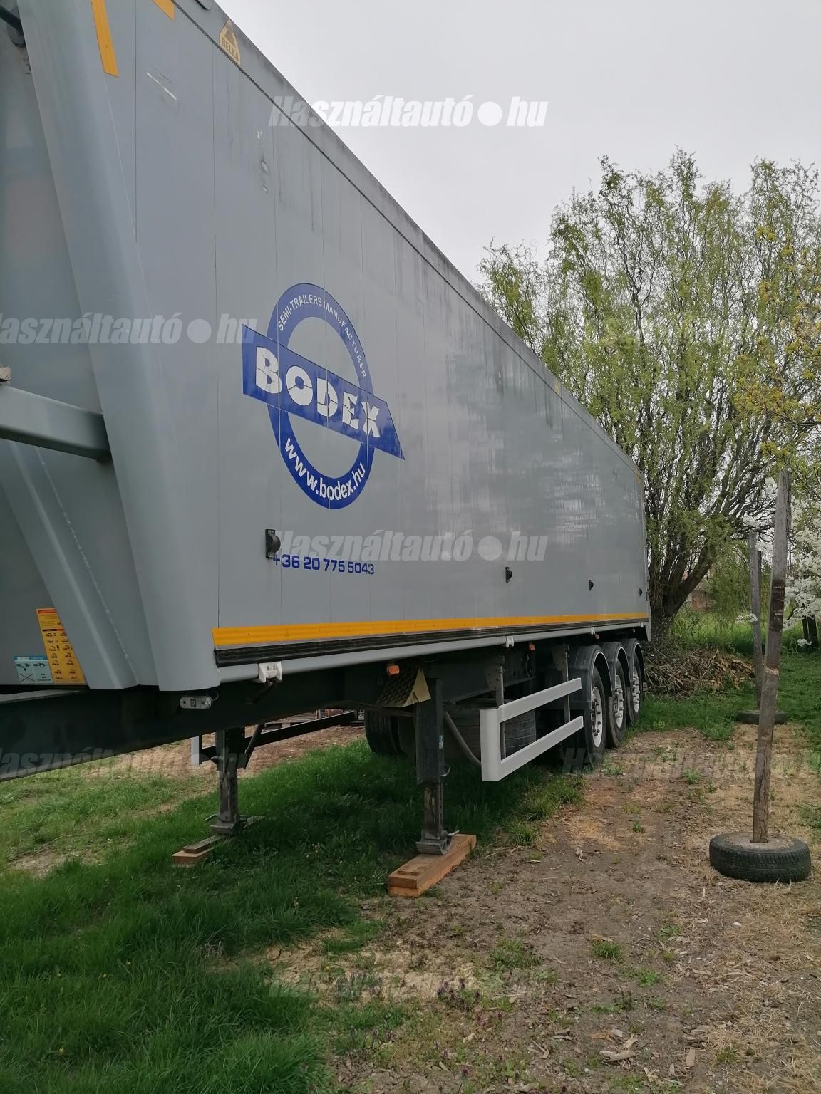 BODEX 2017/5 - 1