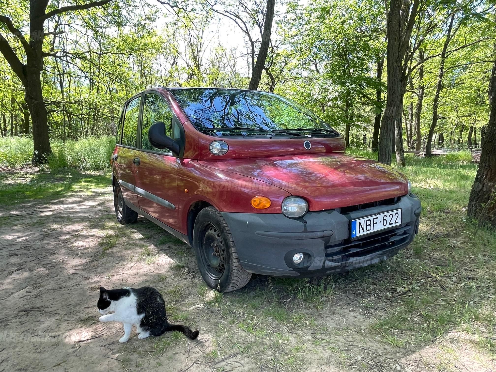 a cica nem tartozék :)