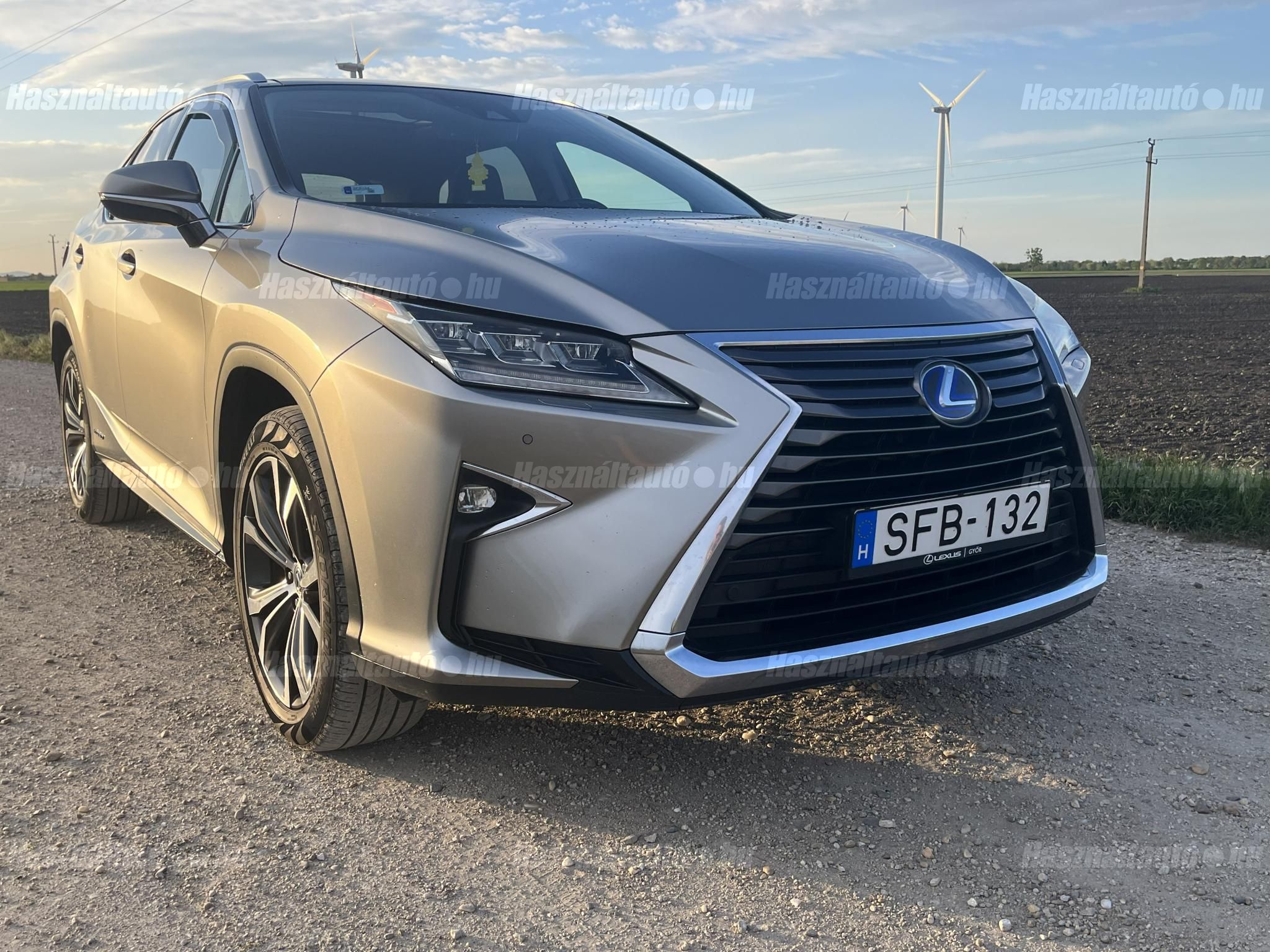 LEXUS RX 2017/4 - 1