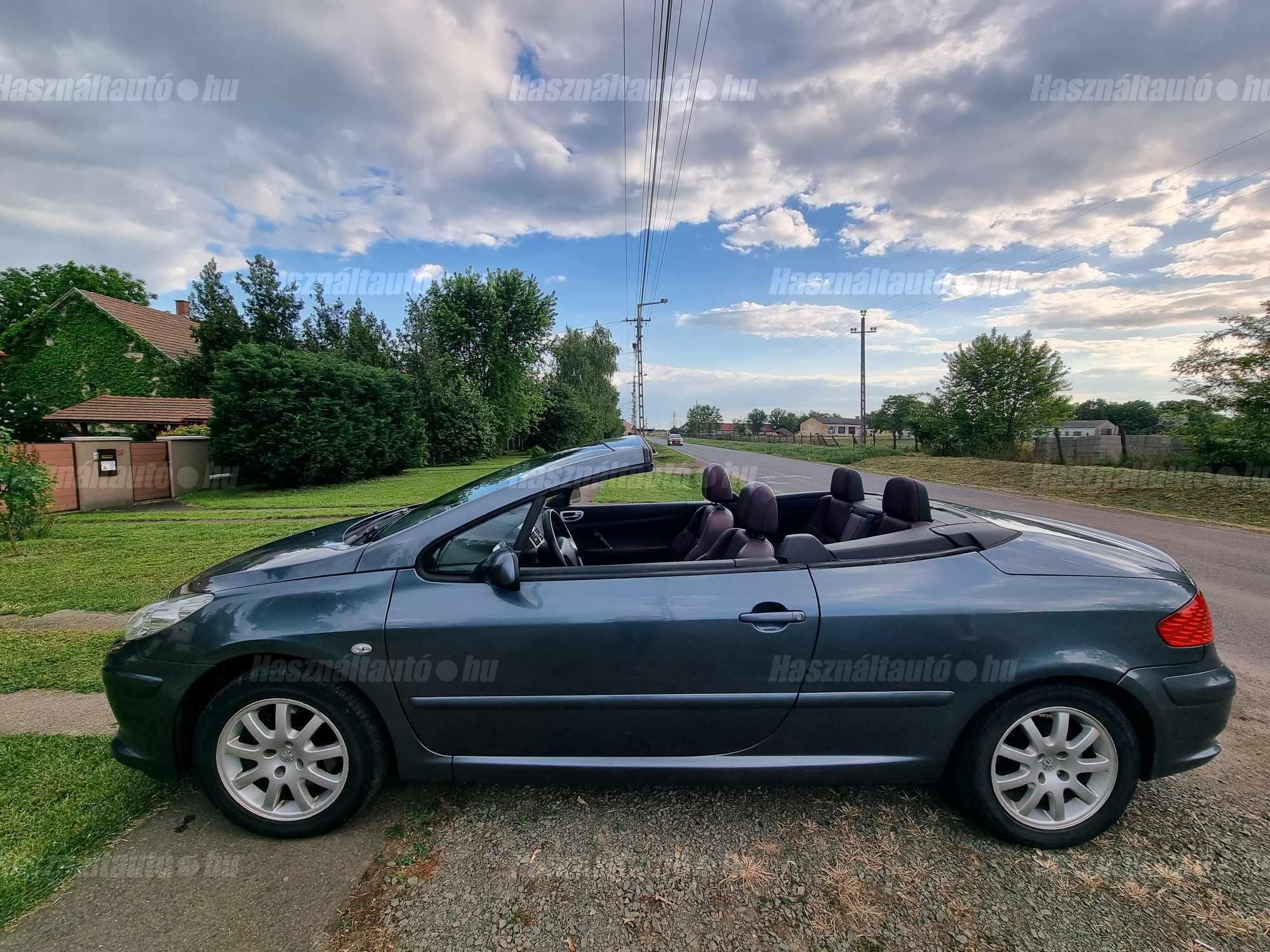 PEUGEOT 307 2006 - 1