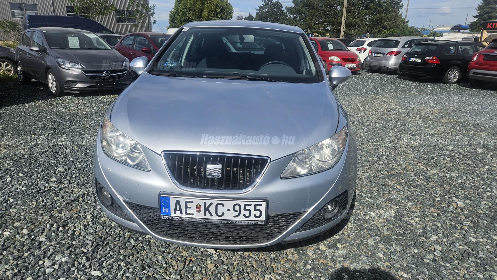 SEAT IBIZA 2009/5 - 1