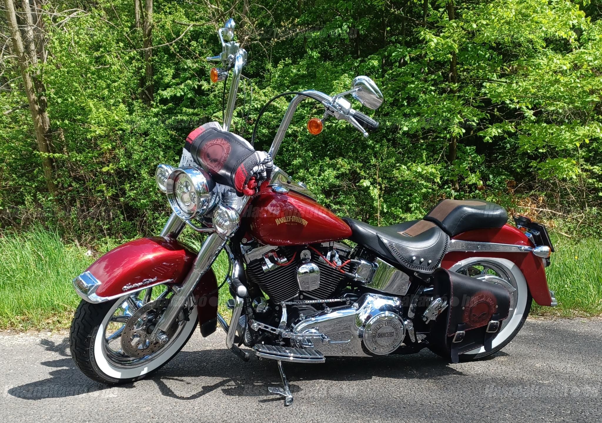HARLEY-DAVIDSON SOFTAIL 2007/1 - 1