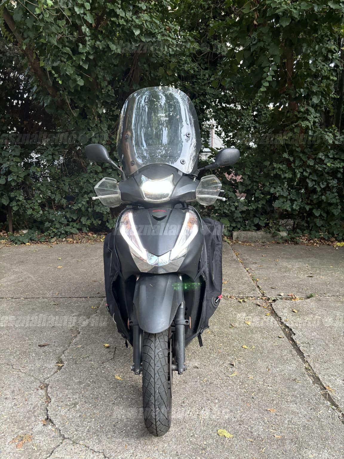 HONDA SH 300 2019/8 - 1