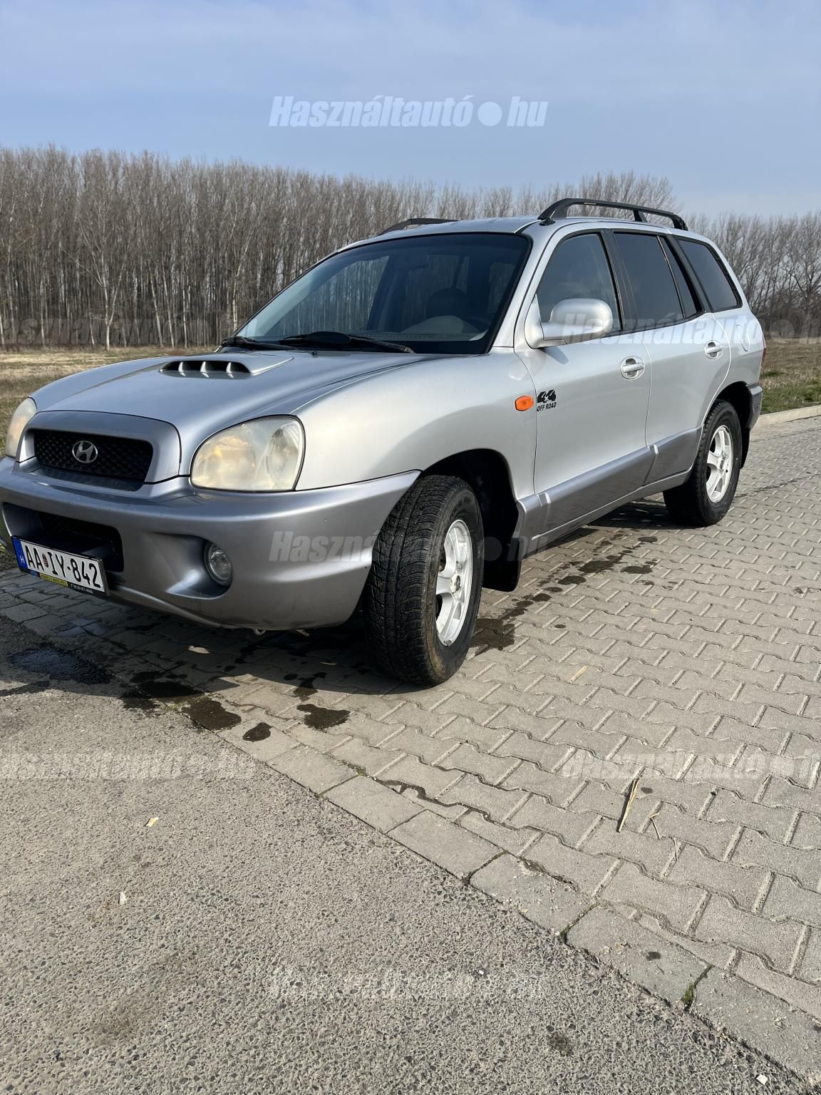 HYUNDAI SANTA FE 2003 - 1