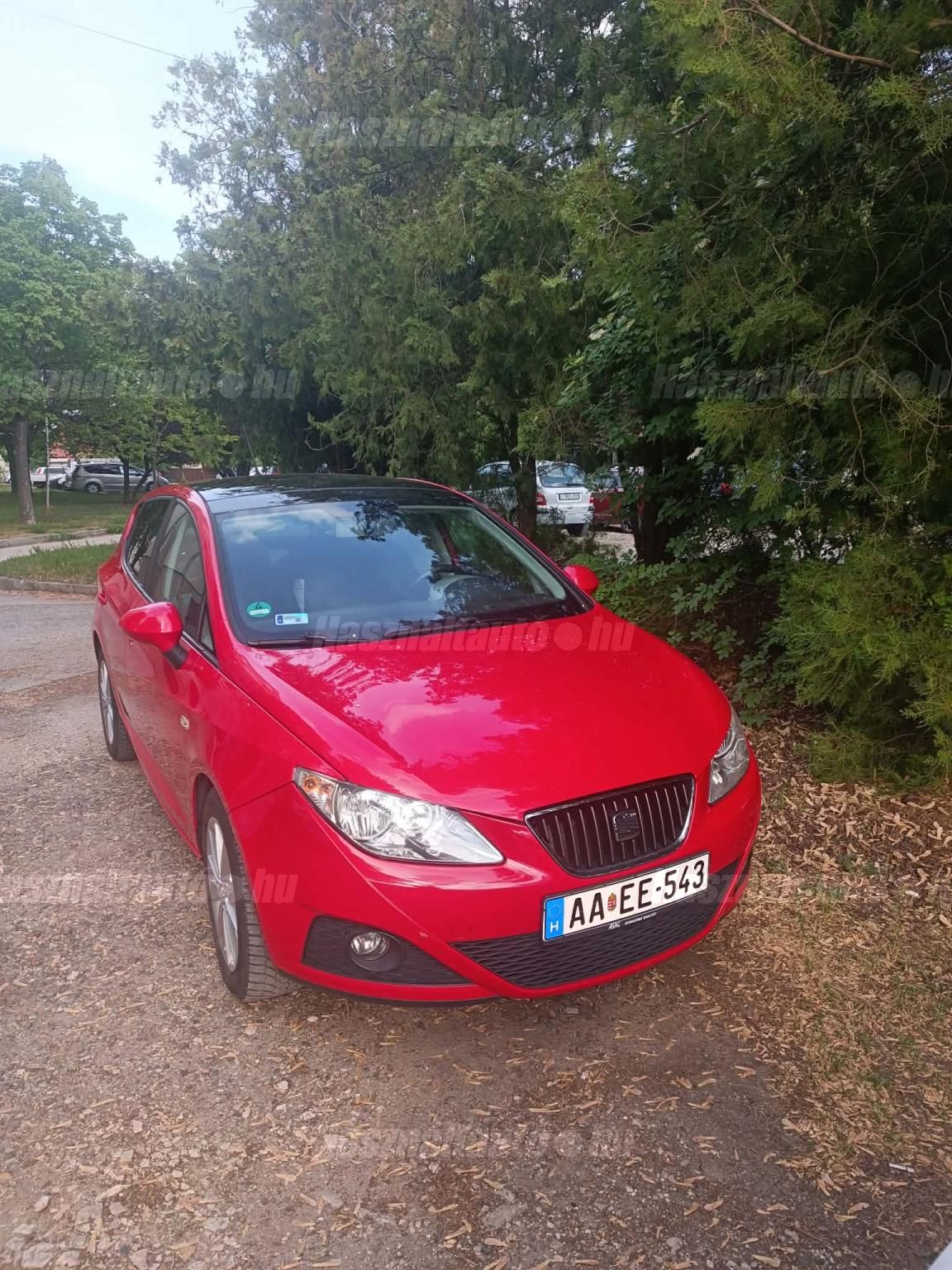 SEAT IBIZA 2008/9 - 1