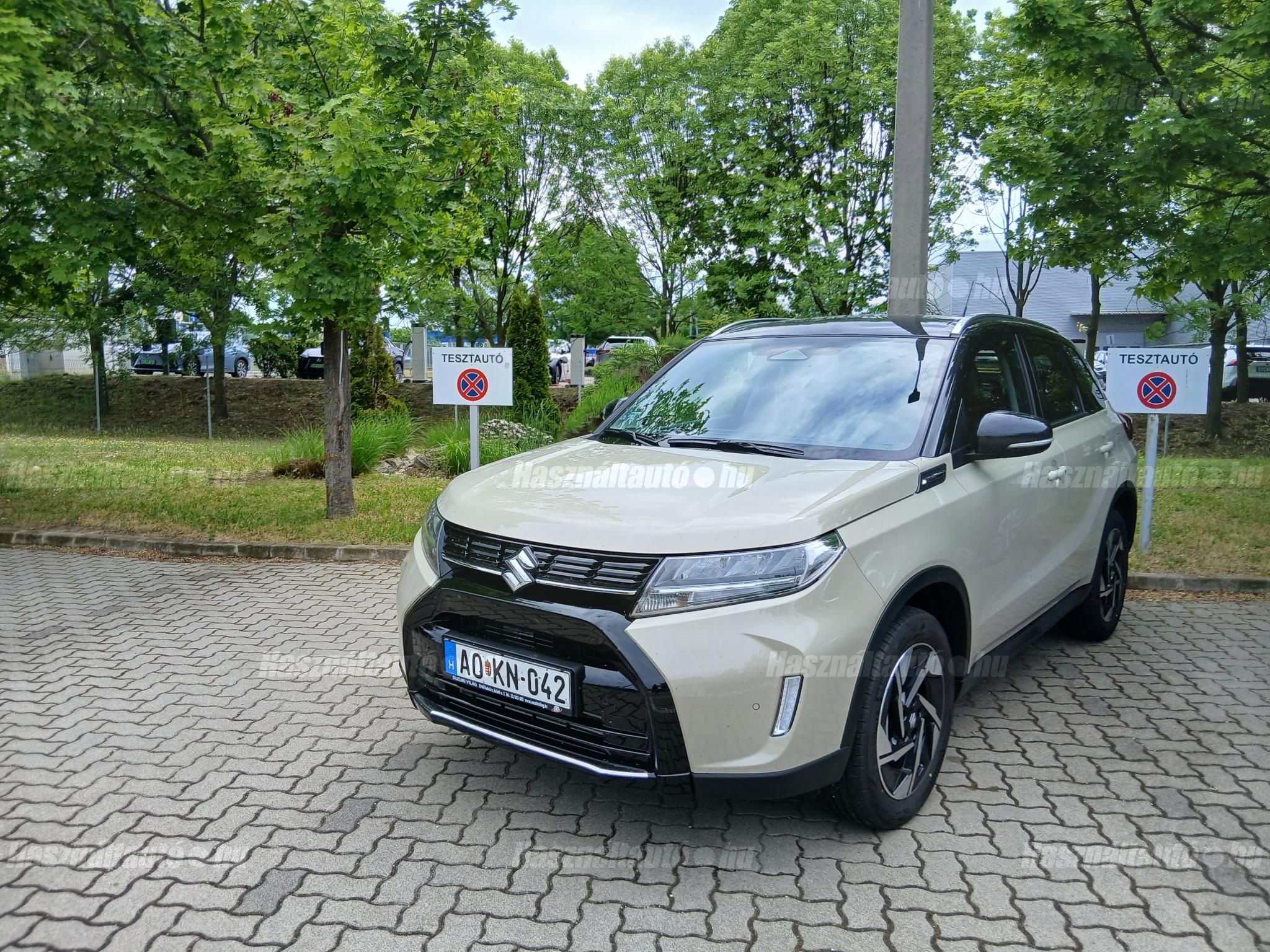 SUZUKI VITARA 2025/12 - 1