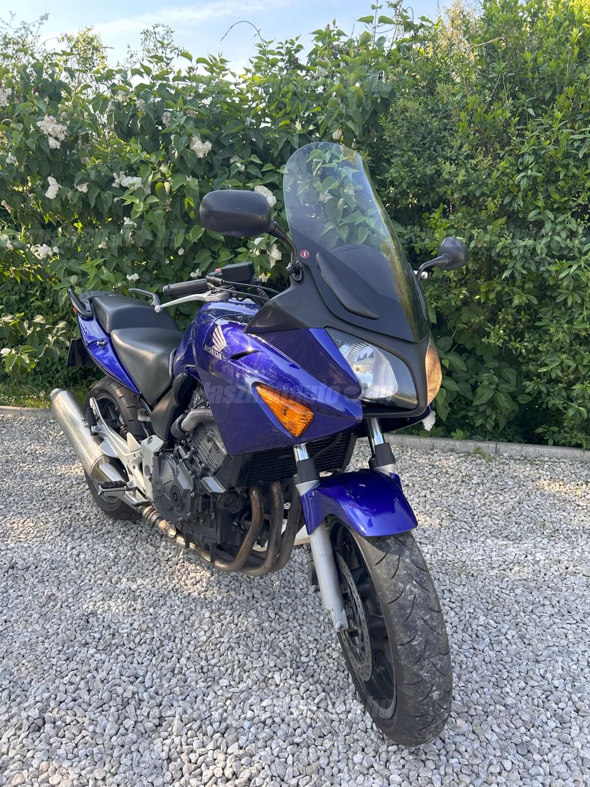 HONDA CBF 600 2004/6 - 1