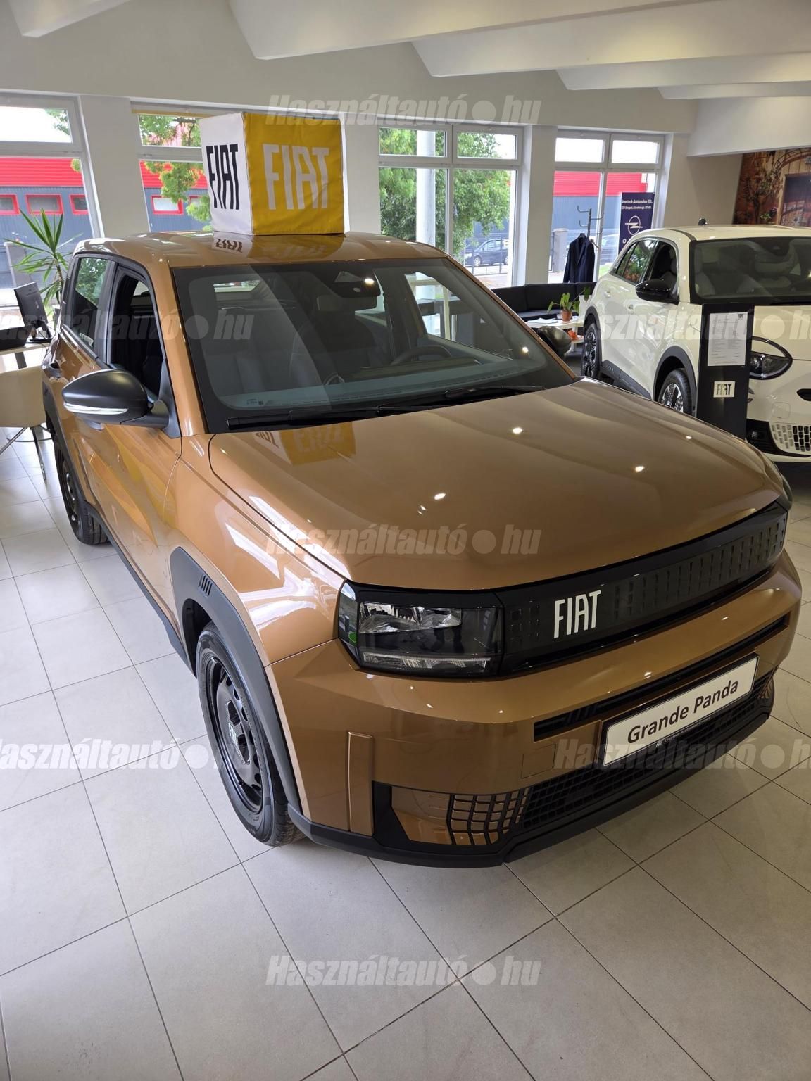 FIAT PANDA 2026 - 1