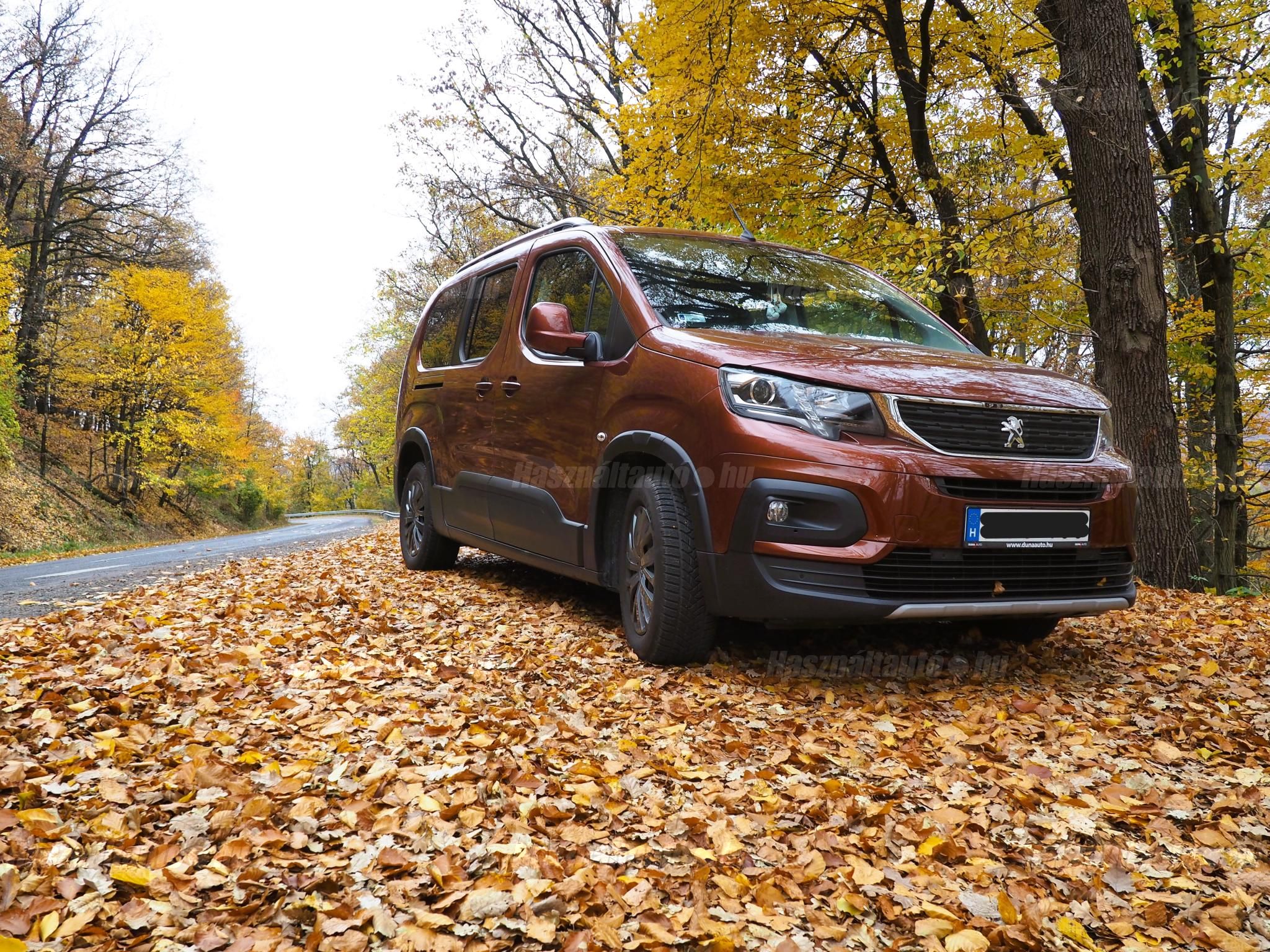 PEUGEOT RIFTER 2019/11 - 1