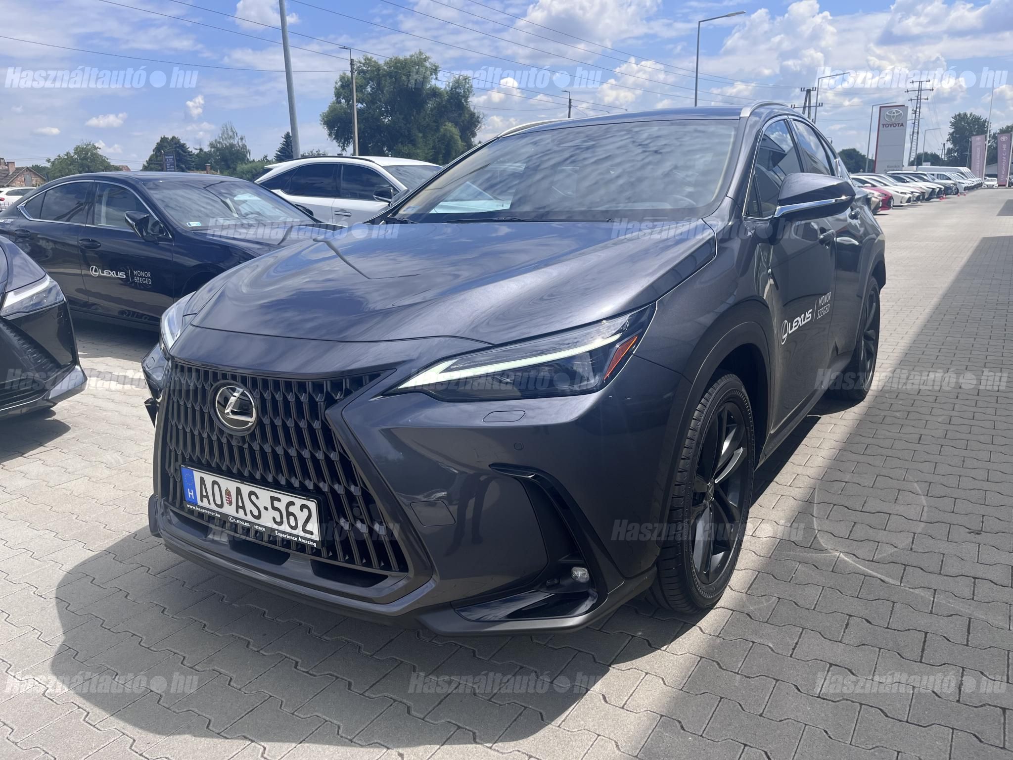 LEXUS NX 2025/7 - 1