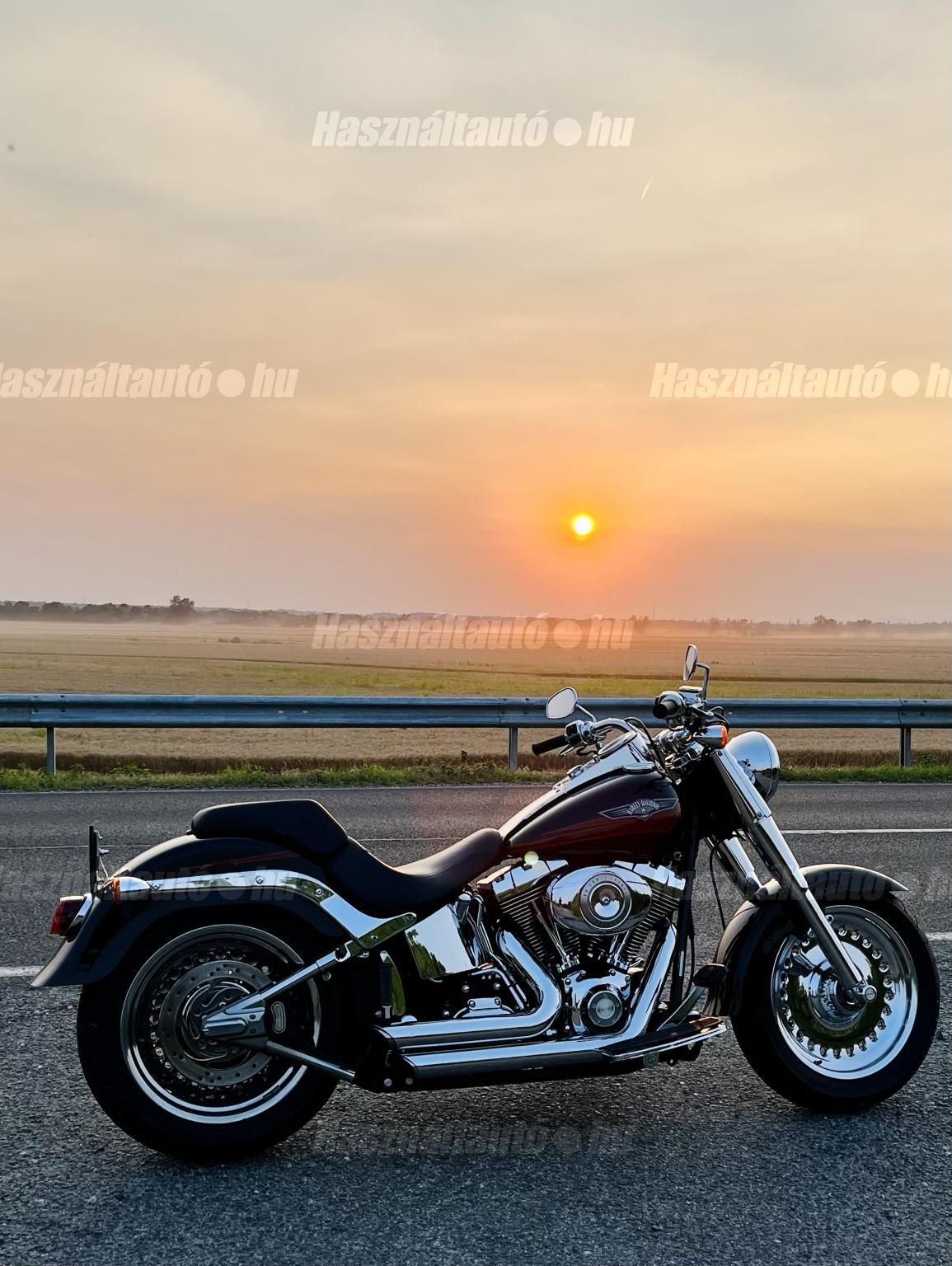HARLEY-DAVIDSON FAT BOY 2007/1 - 1