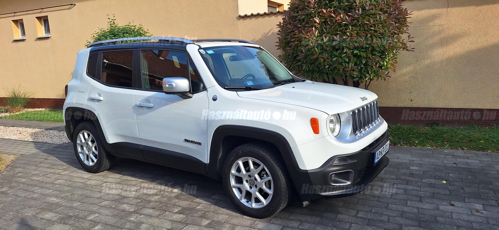 JEEP RENEGADE 2015/6 - 1