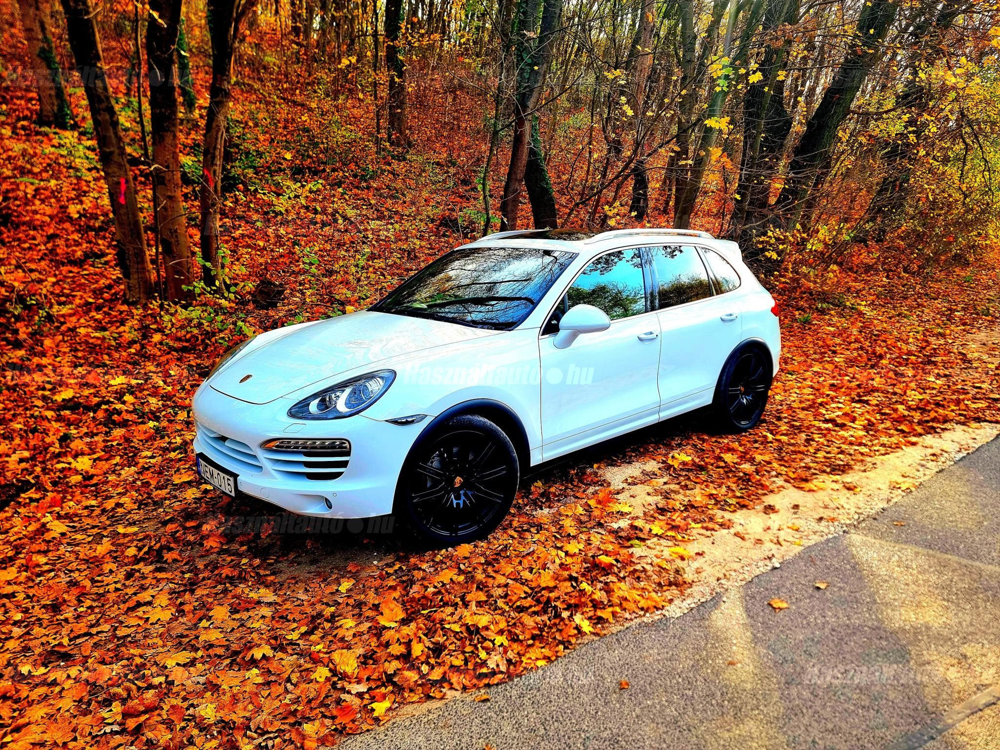 PORSCHE CAYENNE 2013/12 - 1