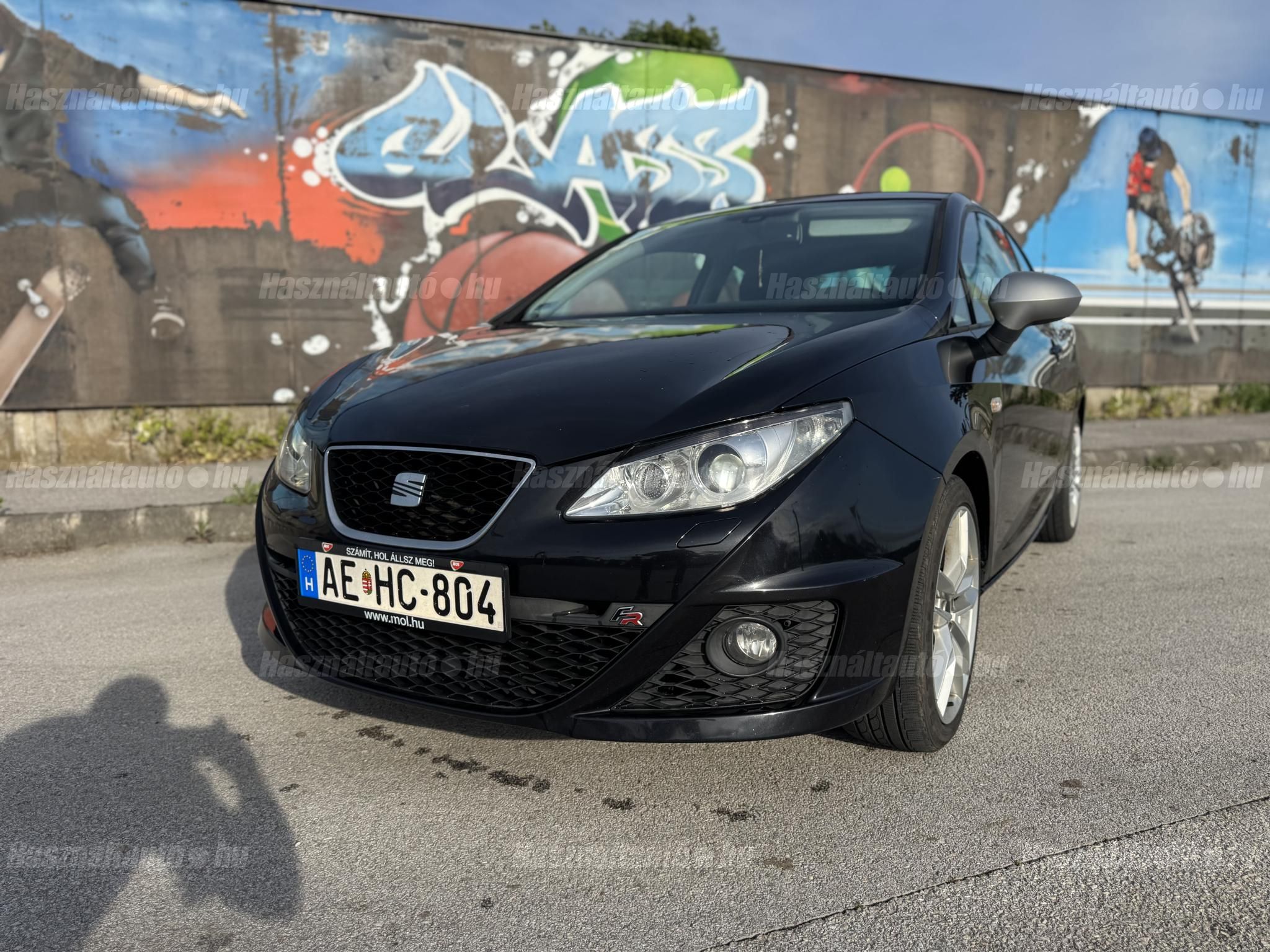 SEAT IBIZA 2010/6 - 1
