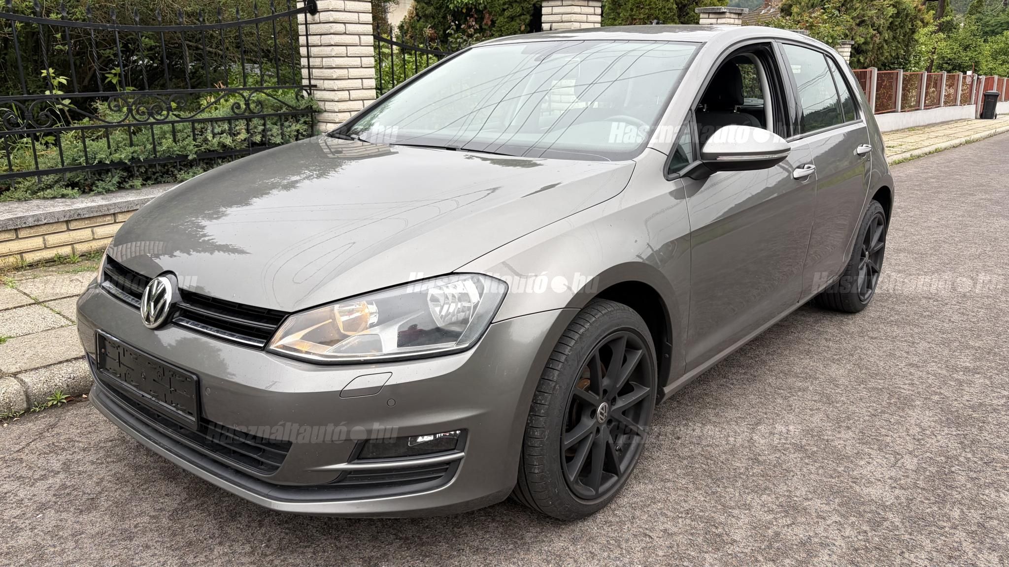 VOLKSWAGEN GOLF VII 2013/12 - 1
