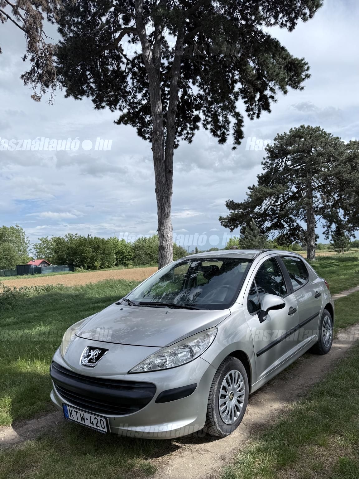 PEUGEOT 207 2007/6 - 1