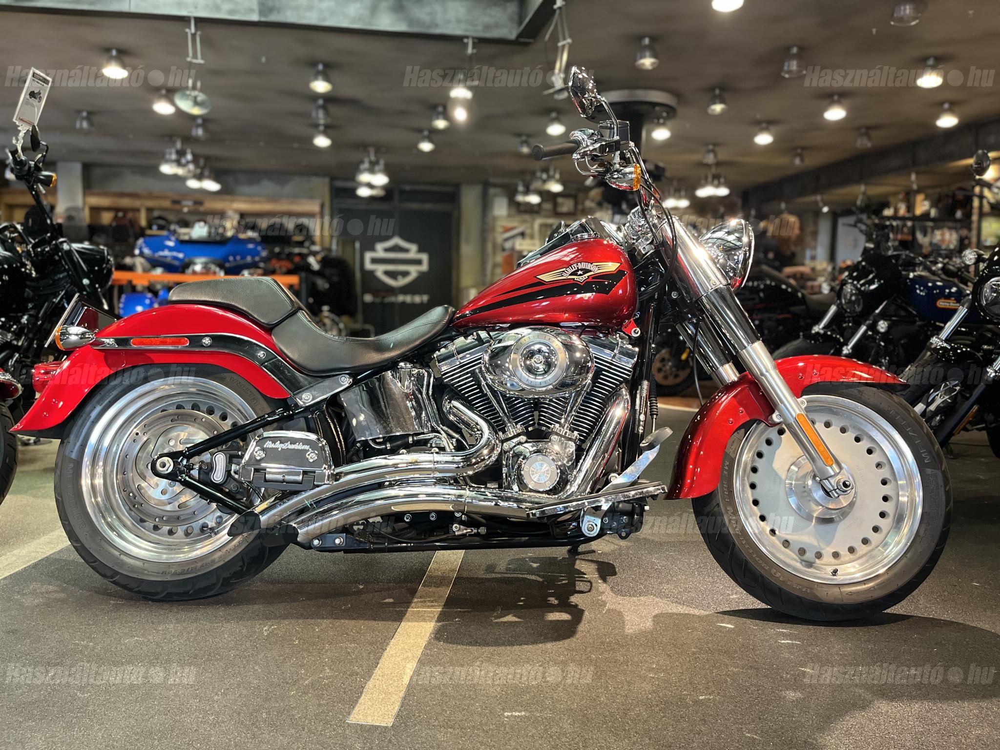 HARLEY-DAVIDSON FAT BOY 2008/2 - 1