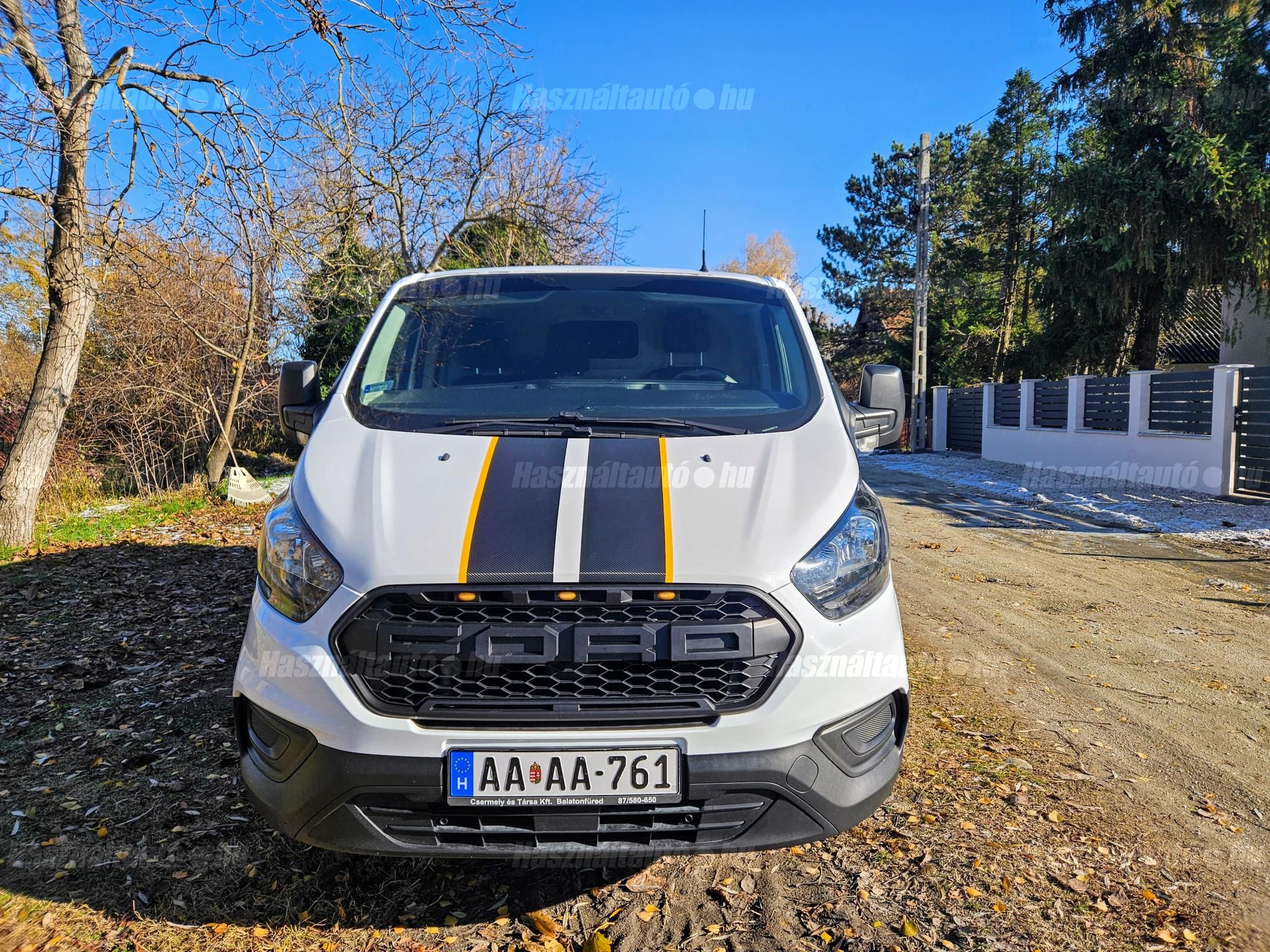FORD TRANSIT 2019/3 - 1